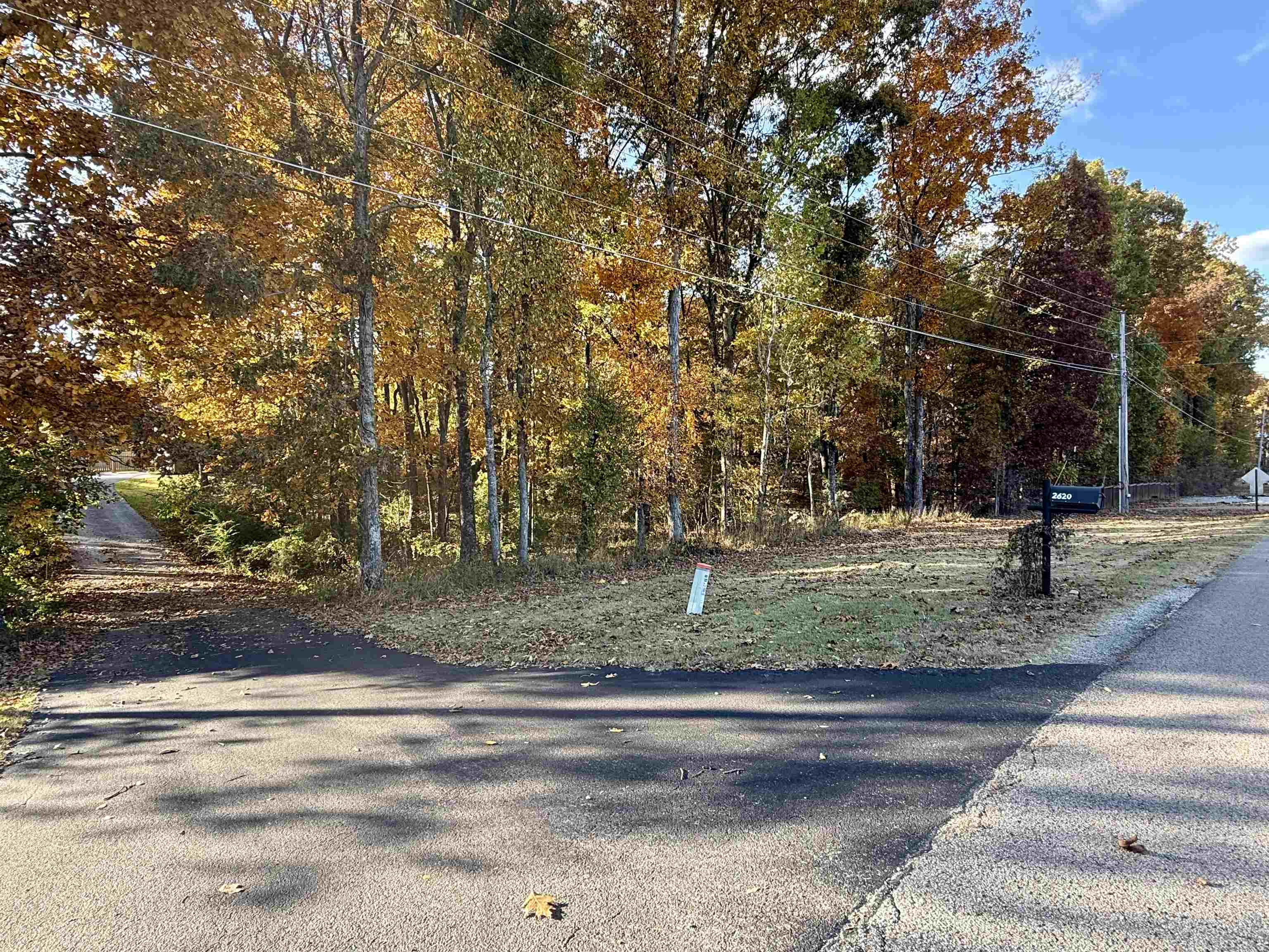 2620 Tomlin Road Somerville, TN 38068 - Photo 3 of 40 a view of park space with trees