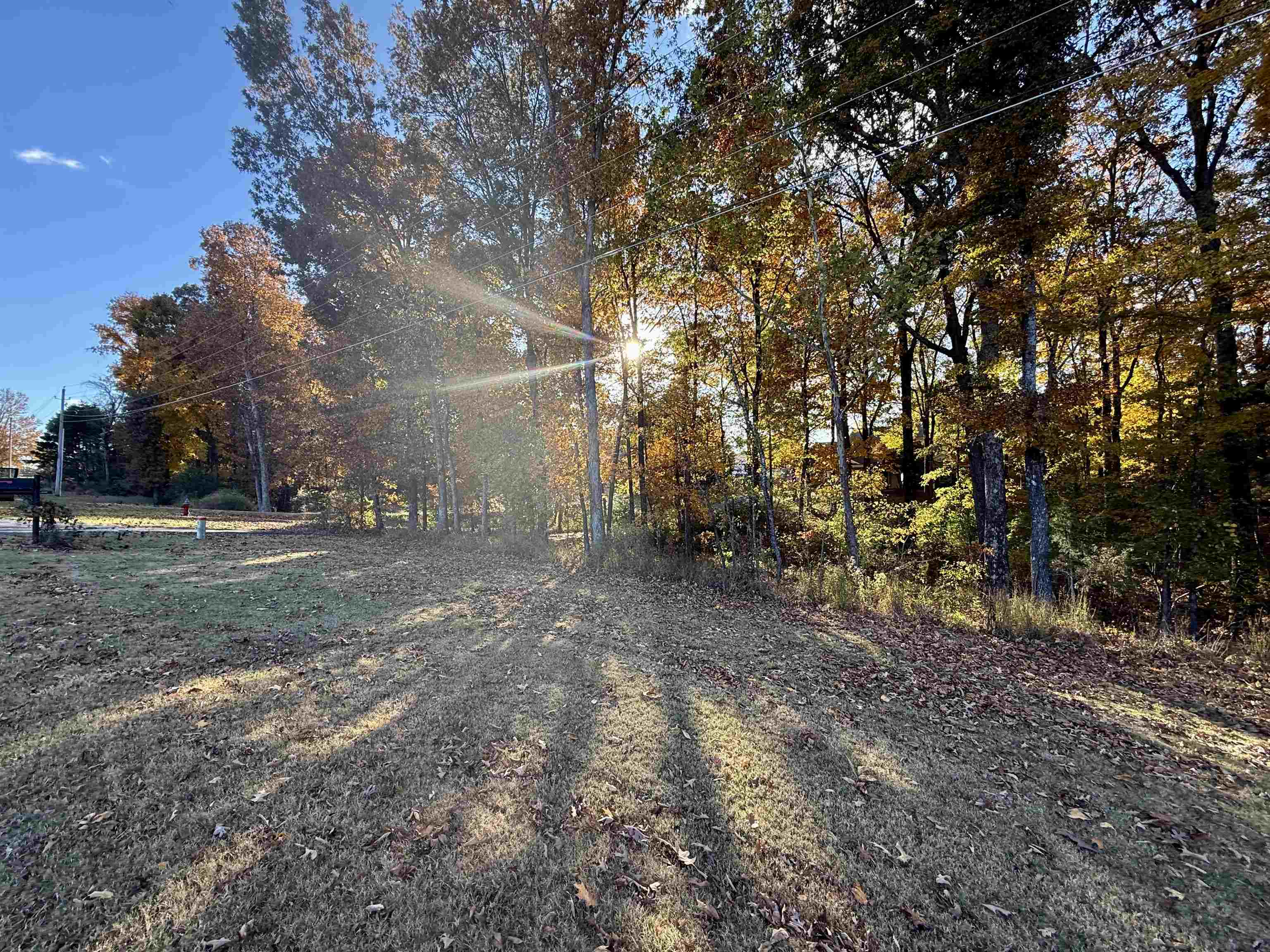2620 Tomlin Road Somerville, TN 38068 - Photo 4 of 40 a view of a yard with large trees