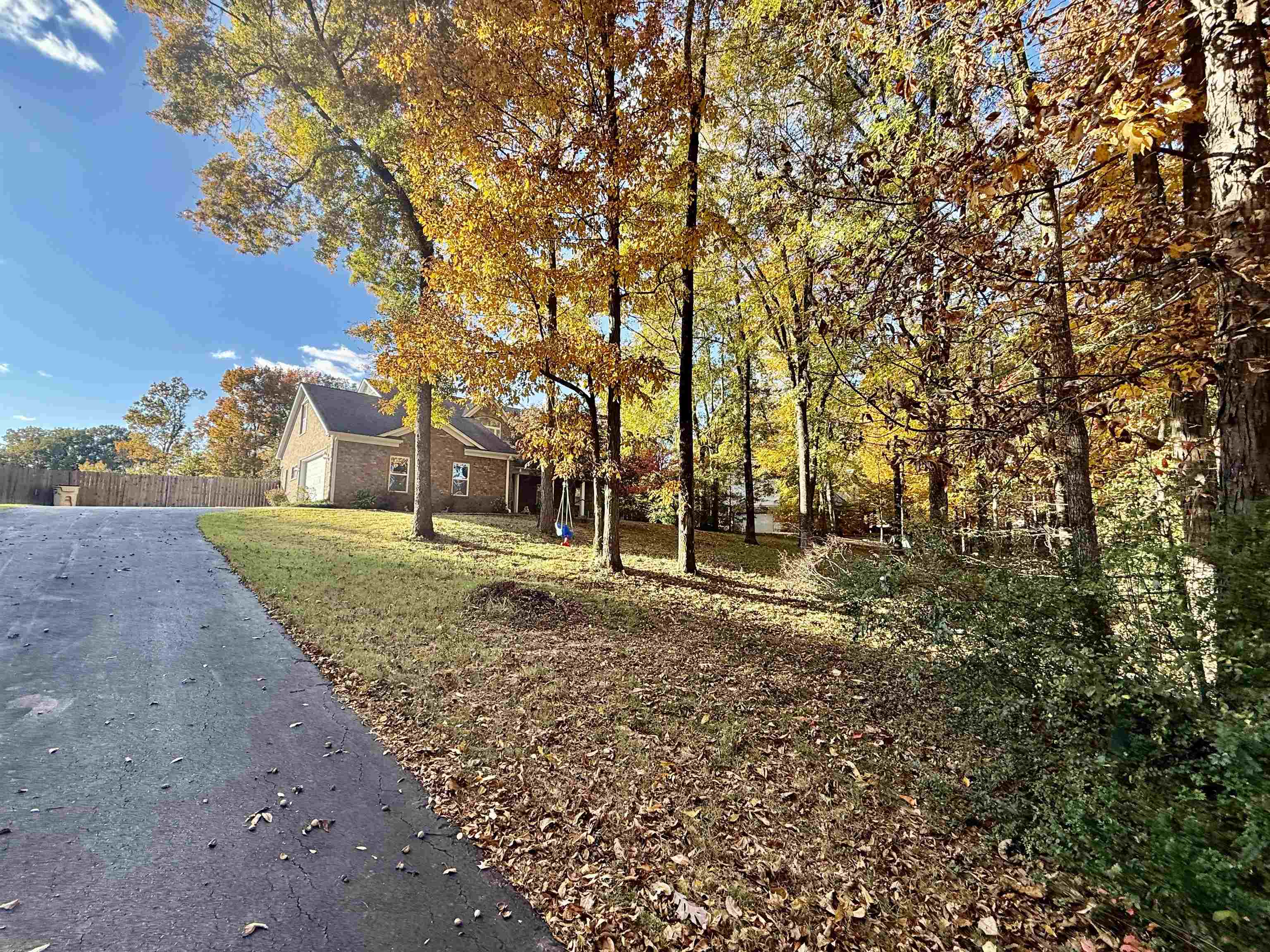 2620 Tomlin Road Somerville, TN 38068 - Photo 5 of 40 a view of a yard with a tree
