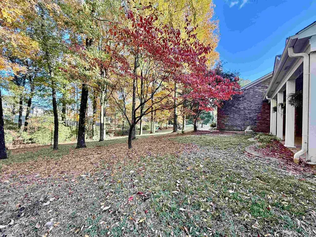 a view of a yard with a tree