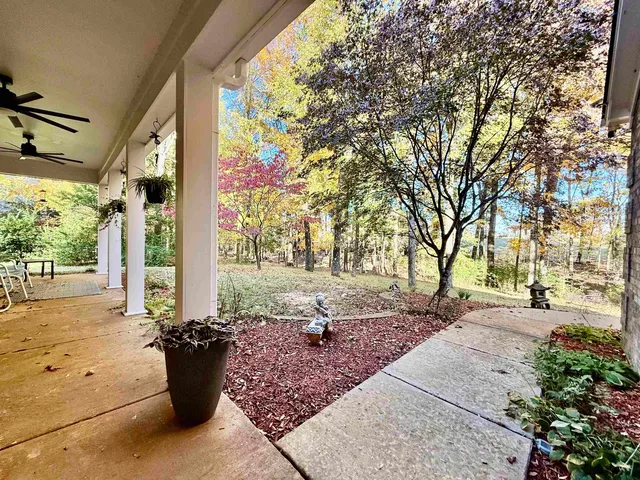 a view of a backyard with potted plants and large tree