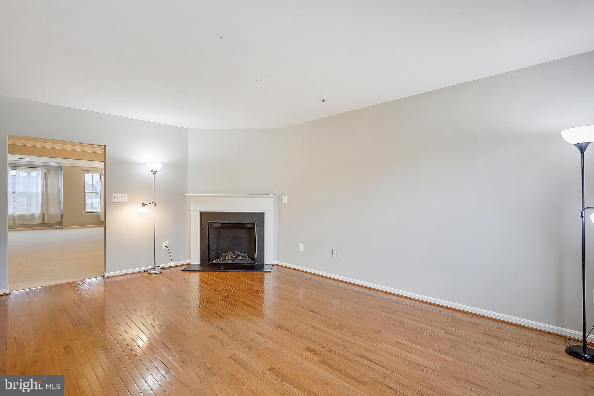 22932 Newcut Road, Unit 2272 Clarksburg, MD 20871 - Photo 8 of 30 Kitchen with fireplace