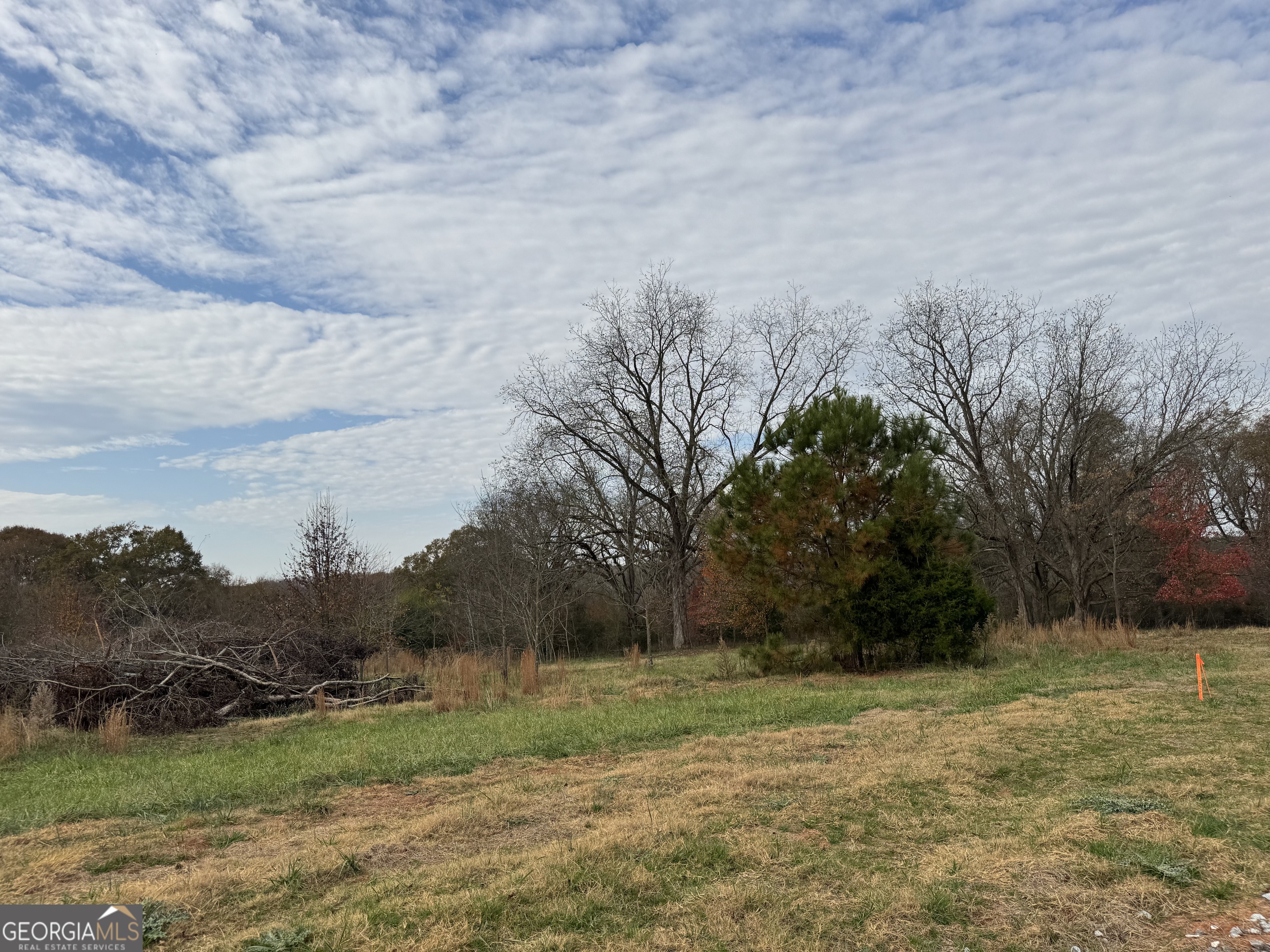 3439-tract 6 Providence Church Road Hartwell, GA 30643 - Photo 2 of 5 a view of a field with an trees