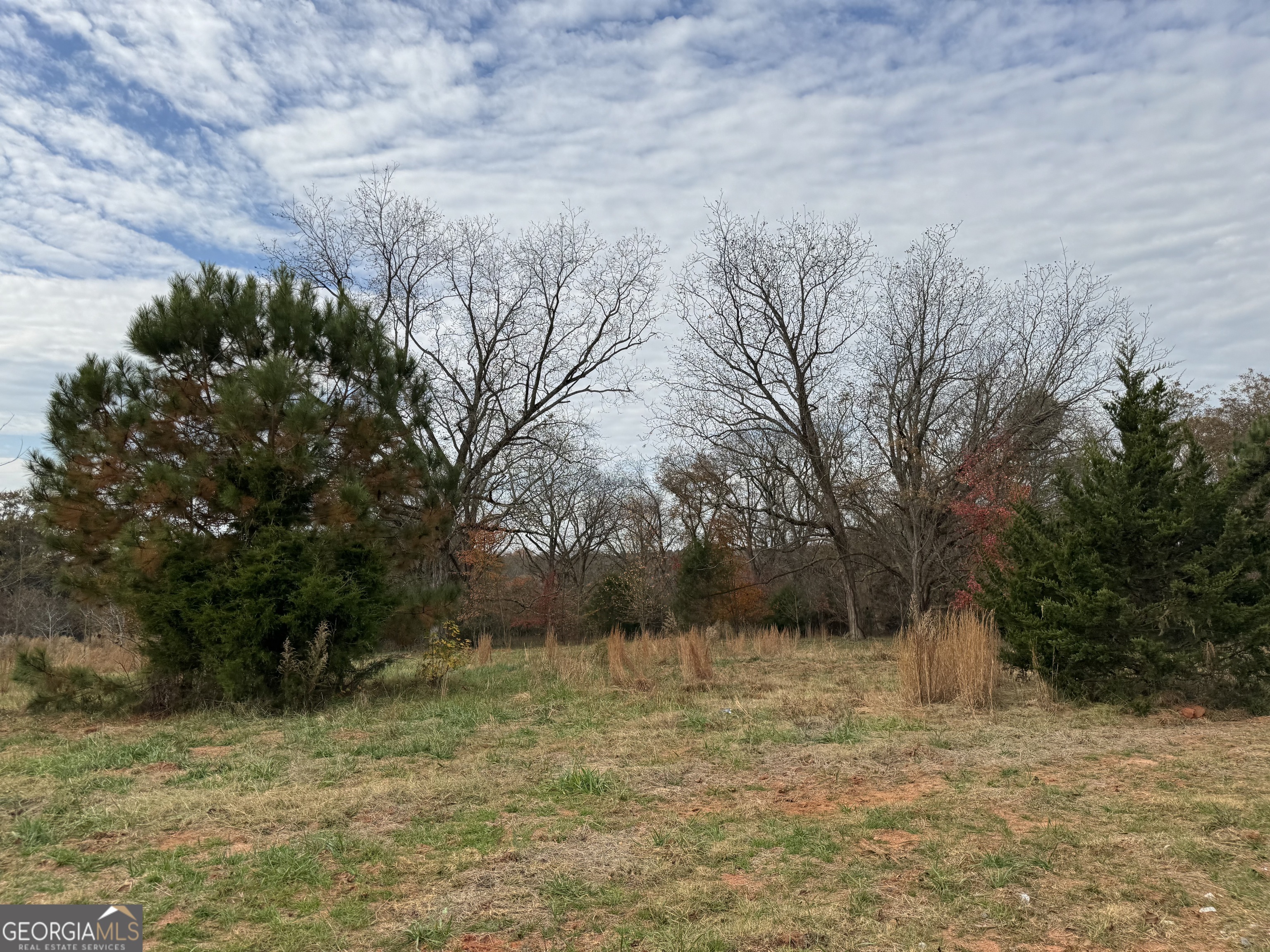 3439-tract 6 Providence Church Road Hartwell, GA 30643 - Photo 3 of 5 a view of a yard