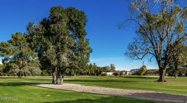 a view of a park with large trees