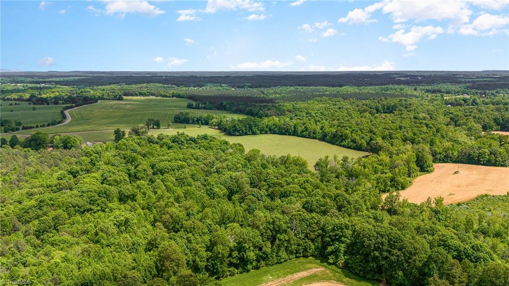 0 Albright Road Siler City, NC 27344 - Photo 10 of 12