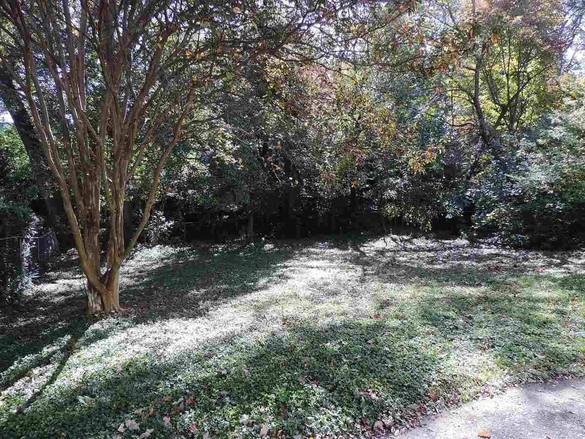 2104 St Marys Street Raleigh, NC 27608 - Photo 18 of 21 Photo 18