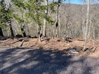 1092 Forest Way Marthasville, MO 63357 - Photo 2 of 23