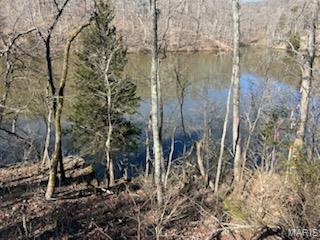 1092 Forest Way Marthasville, MO 63357 - Photo 3 of 23