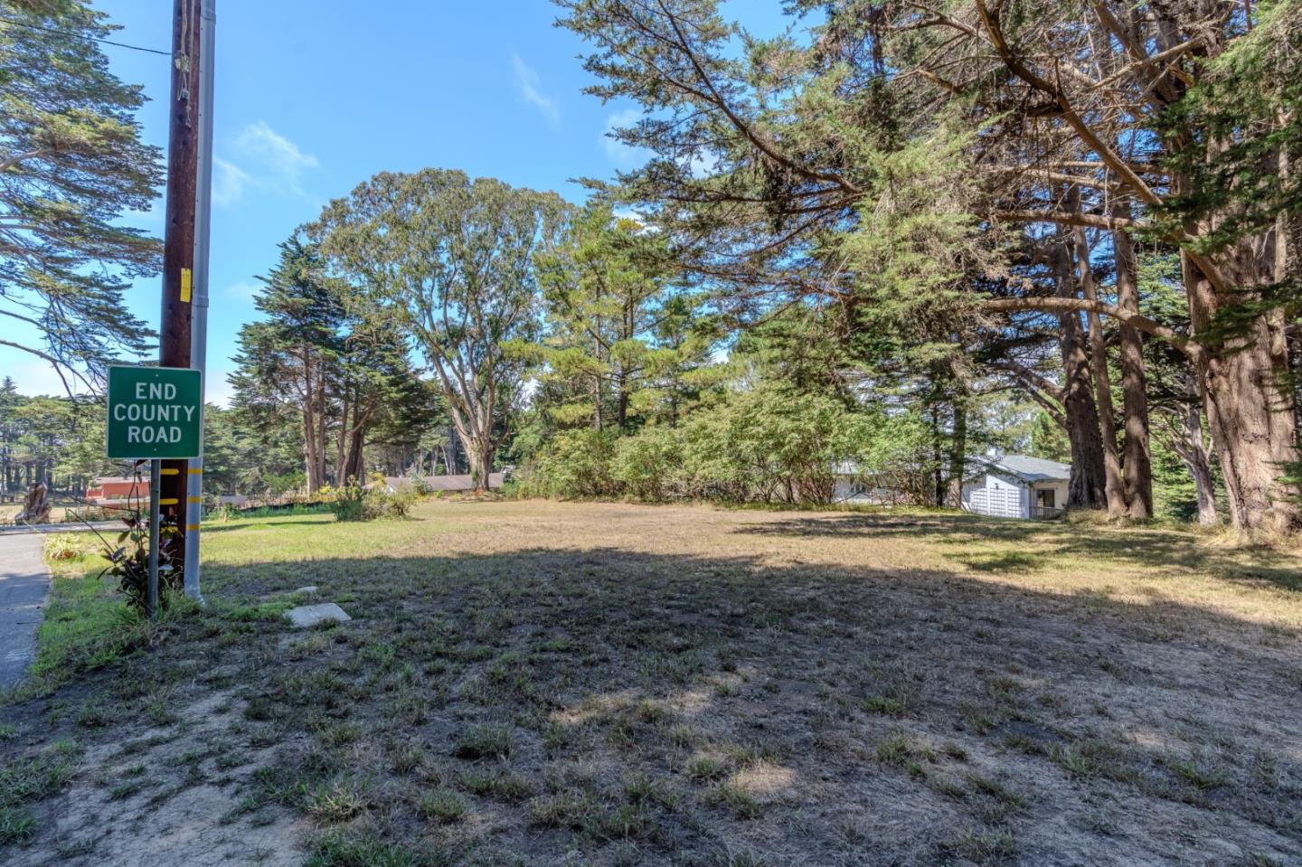 a view of dirt yard with large trees
