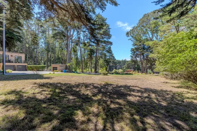 a view of a yard with a tree