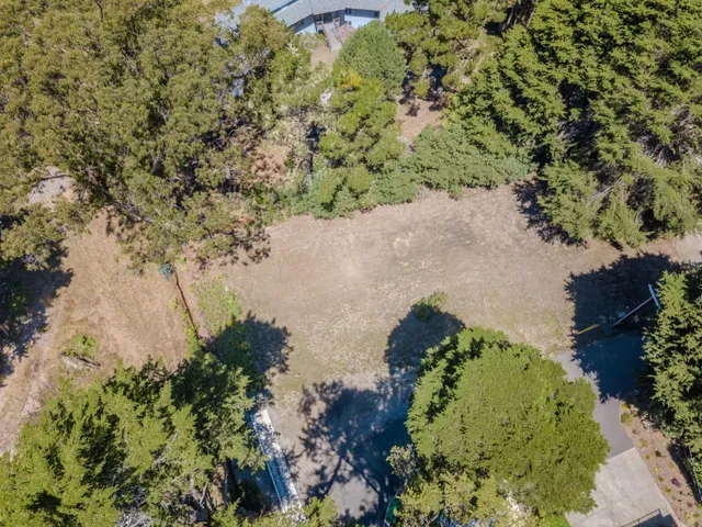a view of a tree with a yard