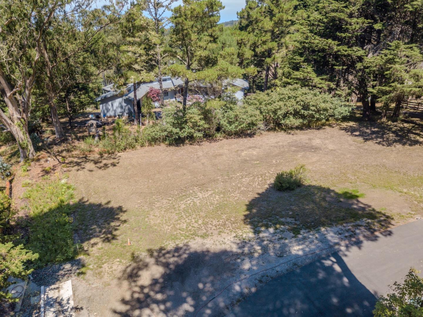 End Of End Of Hermosa Road Montara, CA 94037 - Photo 4 of 16 a view of a yard with a tree