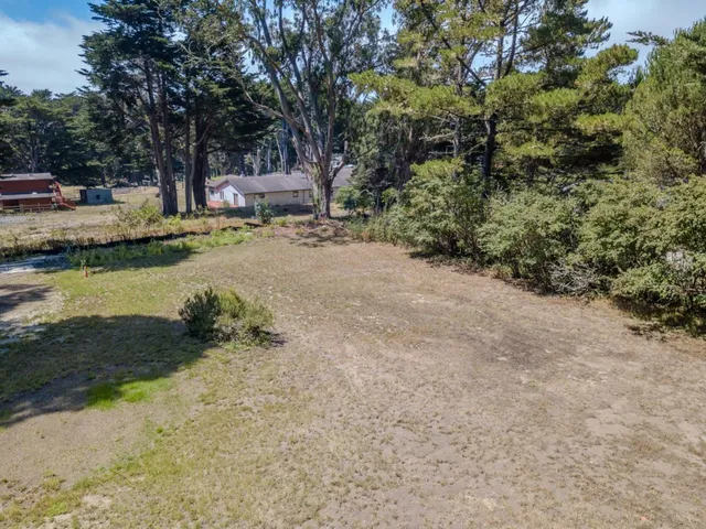 a view of yard with green space