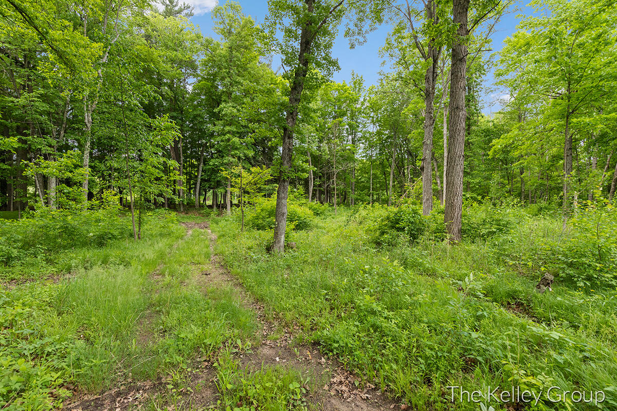 17645 Old Logging Trail Road Hersey, MI 49639 - Photo 18 of 39 IMG_1016