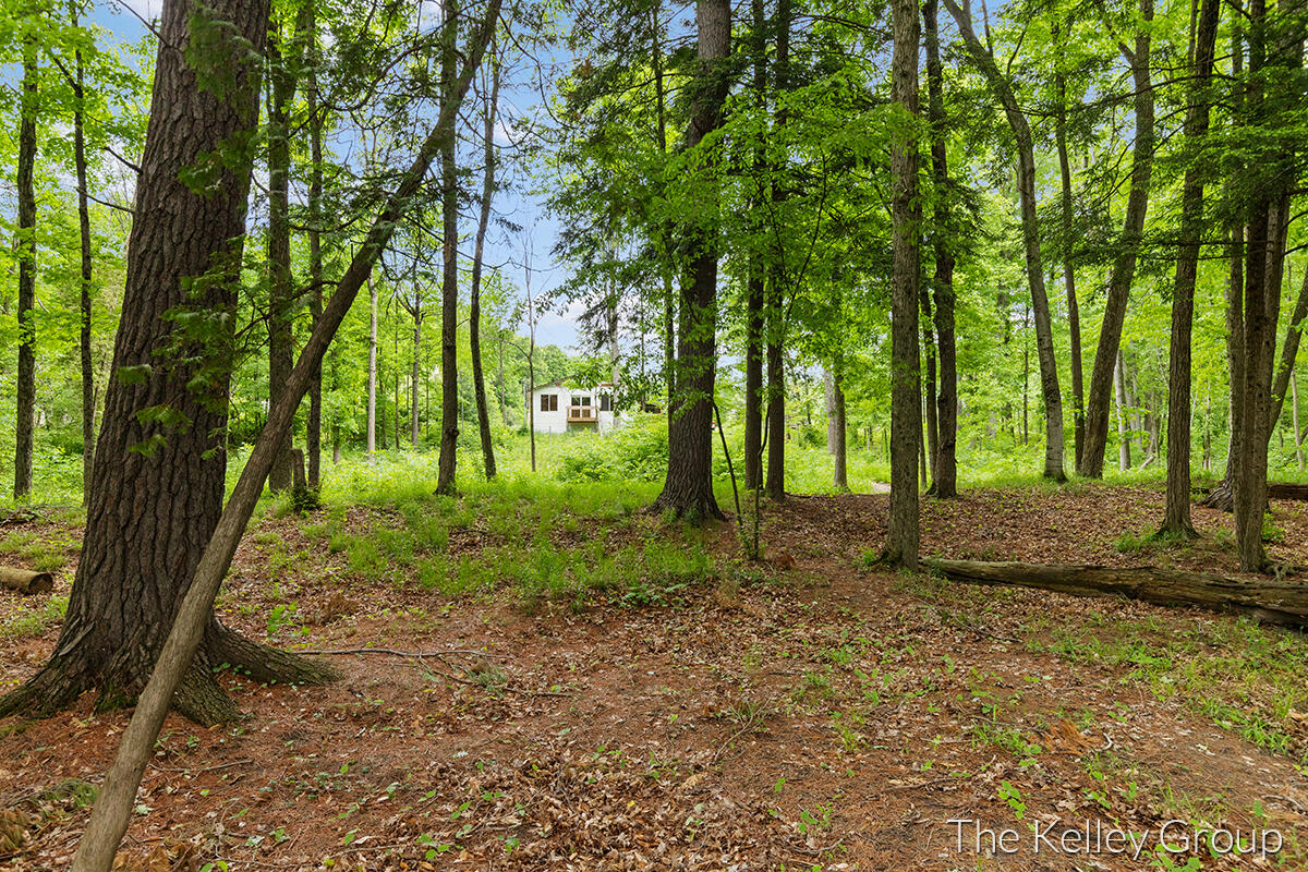 17645 Old Logging Trail Road Hersey, MI 49639 - Photo 23 of 39 IMG_1021