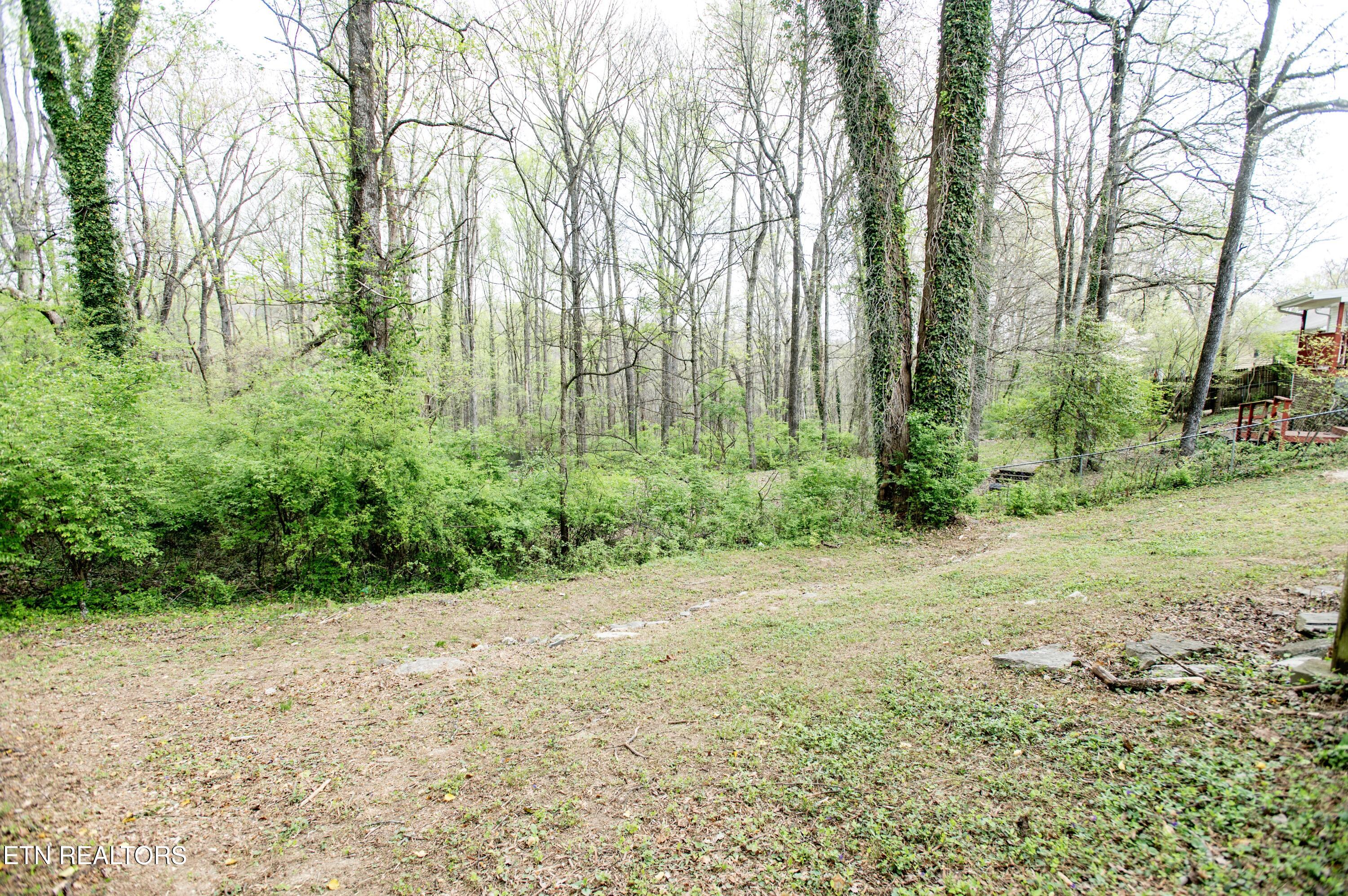 112 Andover Circle Oak Ridge, TN 37830 - Photo 15 of 18 SK1_2652 copy