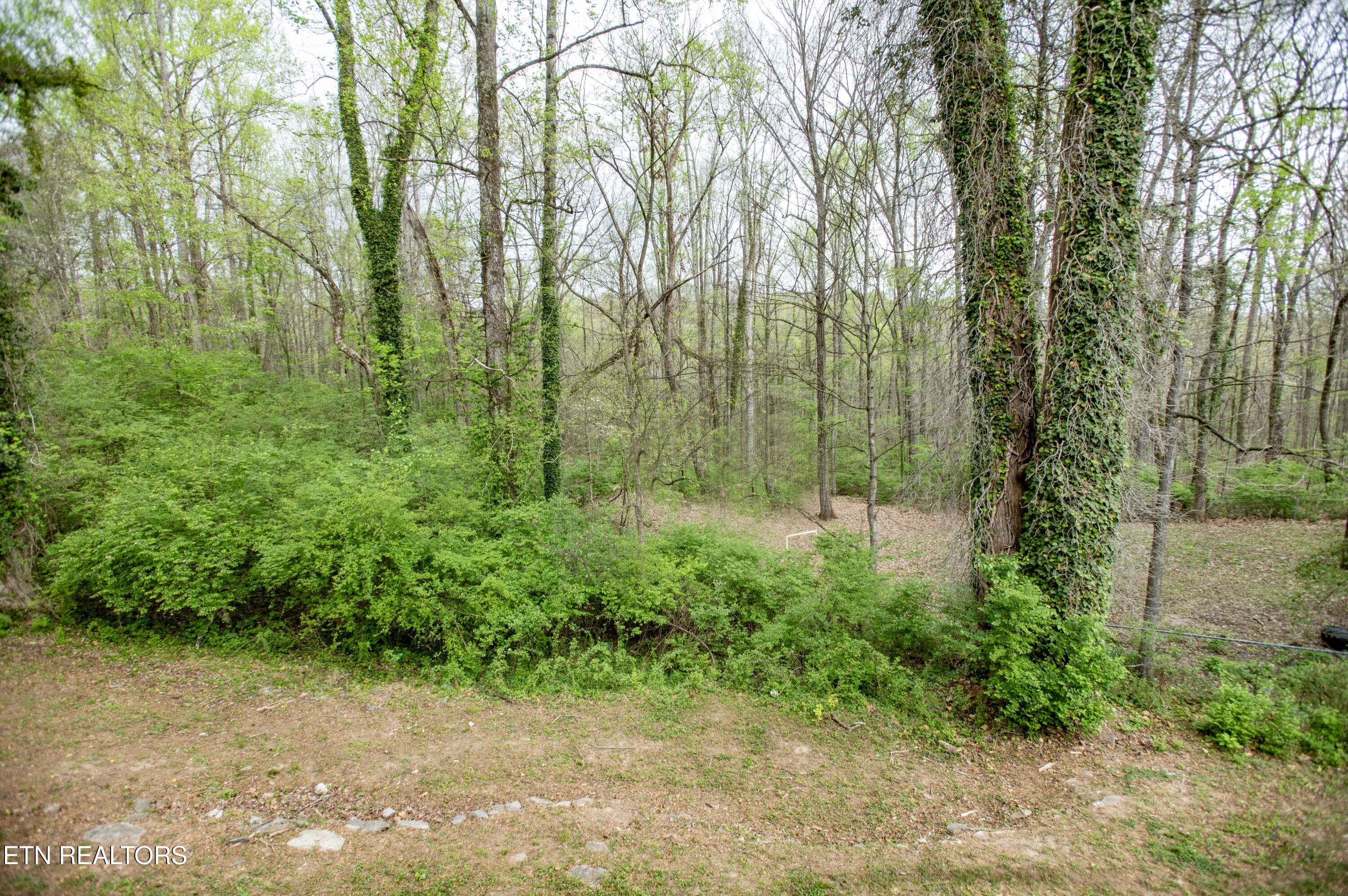 112 Andover Circle Oak Ridge, TN 37830 - Photo 16 of 18 SK1_2631 copy