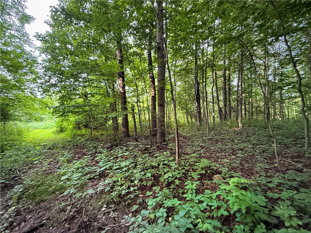 13108 Ridge Road Wolcott, NY 14590 - Photo 27 of 50