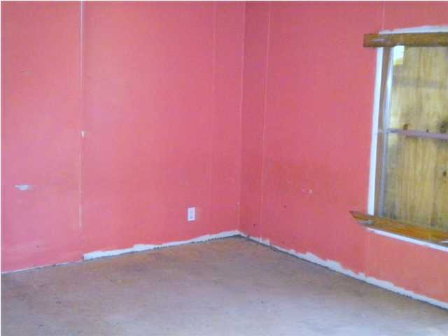 316 Len Mar Road Spring City, TN 37381 - Photo 4 of 11 Additional Photo