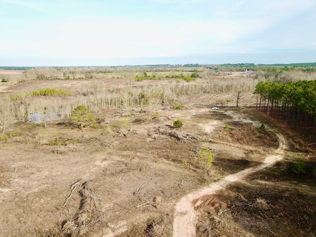20-acres Hudson Road Columbia, AL 36319 - Photo 10 of 40