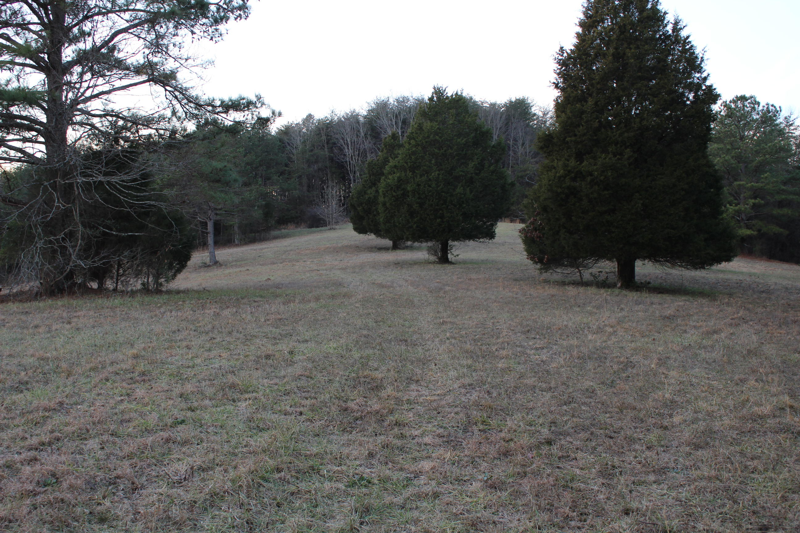 Pinhook Road, Unit 5 Spring City, TN 37381 - Photo 2 of 11 IMG_0180