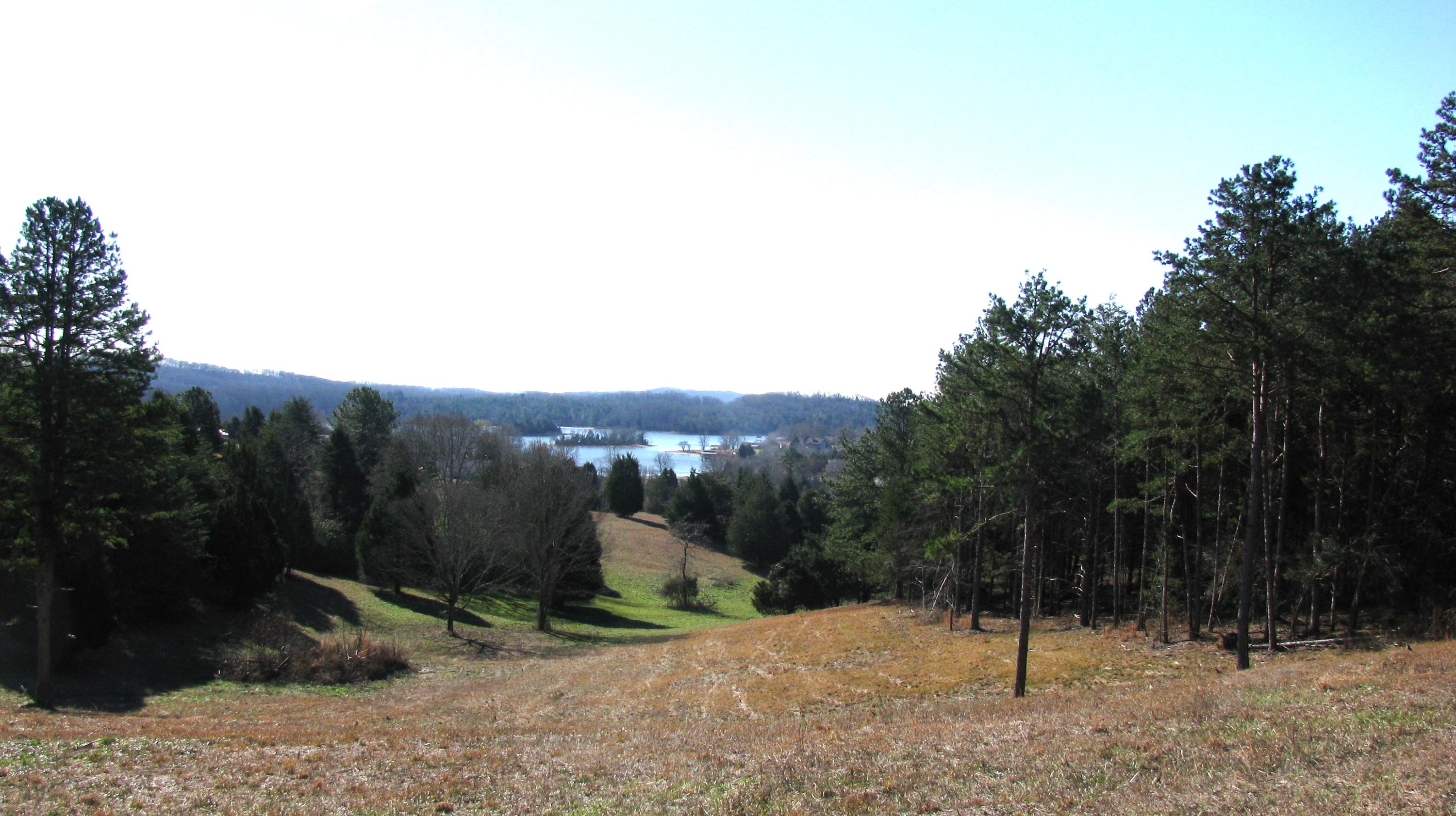 Pinhook Road, Unit 5 Spring City, TN 37381 - Photo 11 of 11 Main Photo