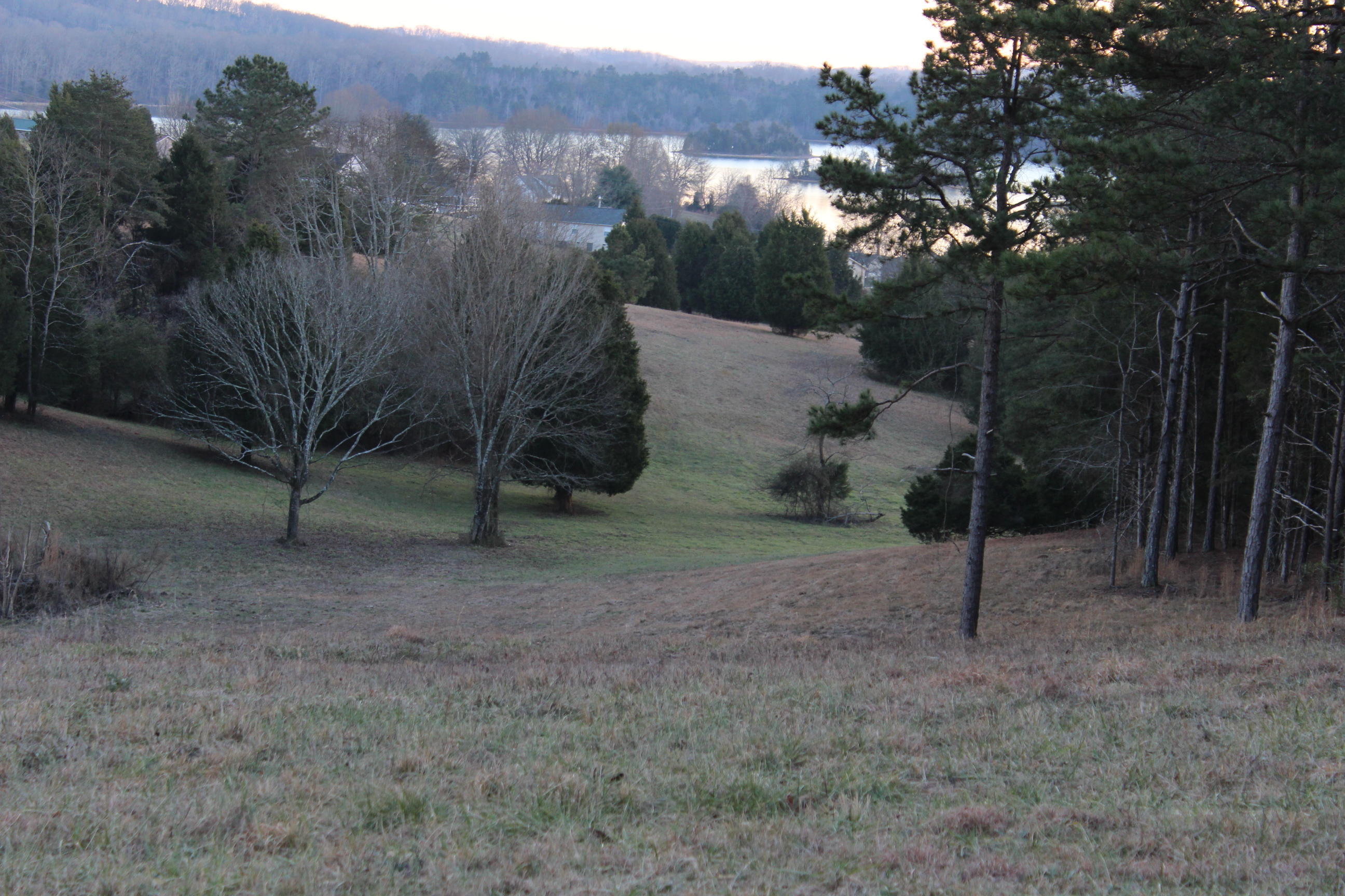 Pinhook Road, Unit 5 Spring City, TN 37381 - Photo 4 of 11 IMG_0185