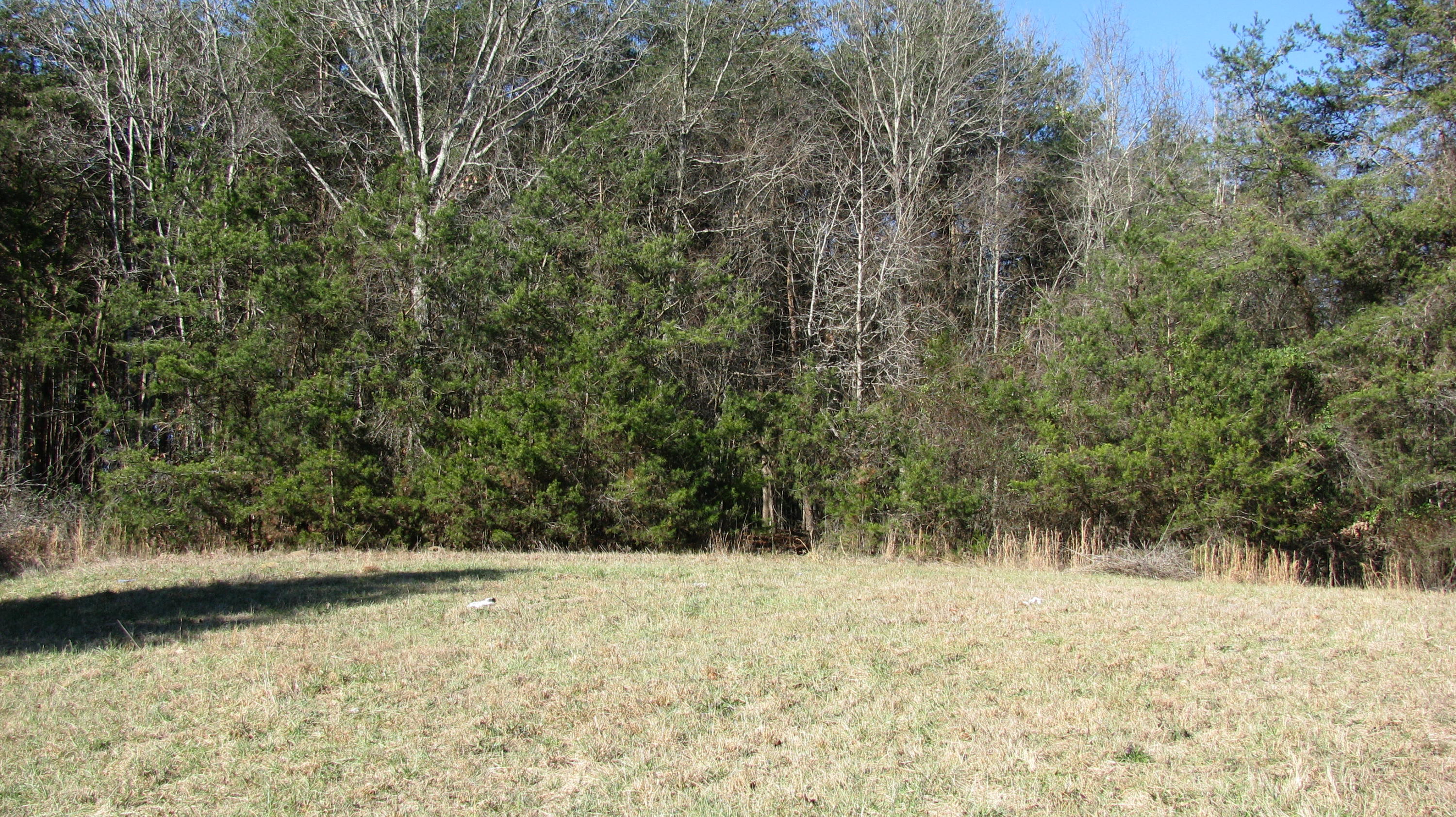 Pinhook Road, Unit 5 Spring City, TN 37381 - Photo 5 of 11 IMG_2316 - Copy
