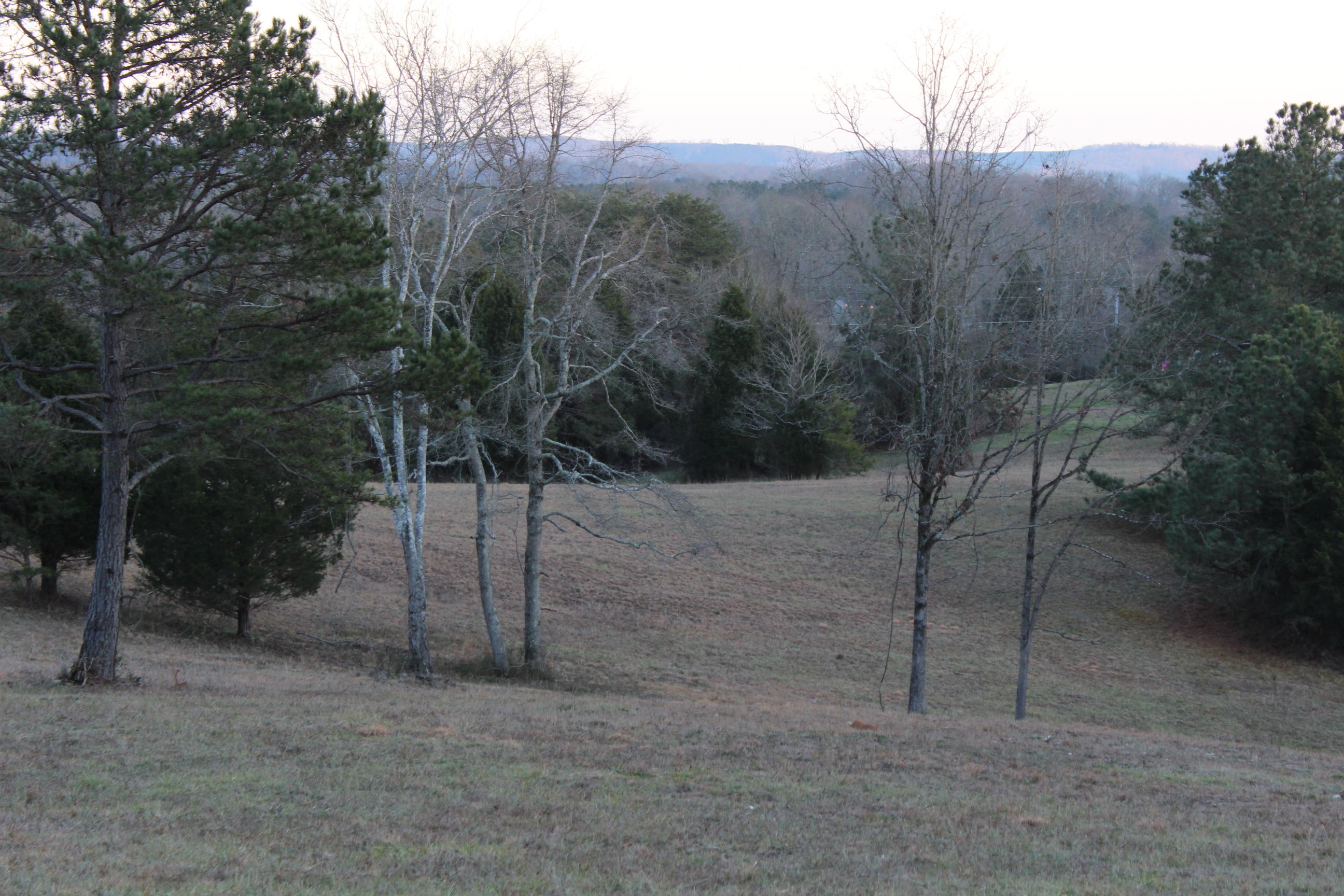 Pinhook Road, Unit 5 Spring City, TN 37381 - Photo 8 of 11 IMG_0184