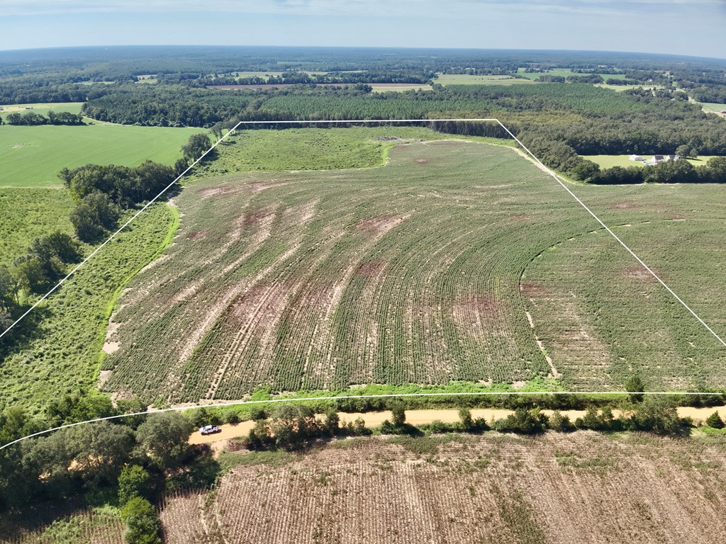 73-acres Shiver Road Daleville, AL 36322 - Photo 12 of 14