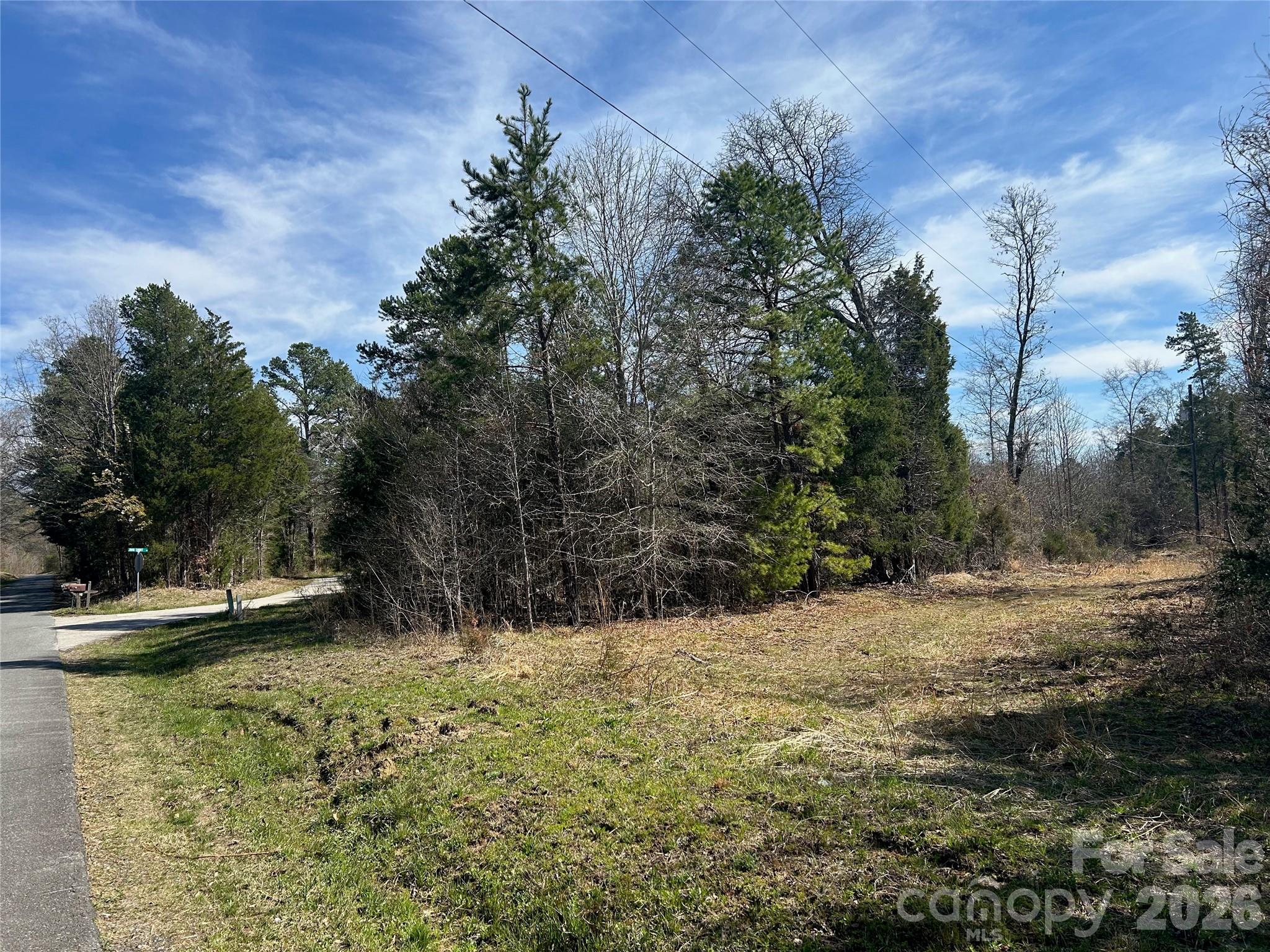 Tbd Green Pond Road Indian Land, SC 29707 - Photo 11 of 24
