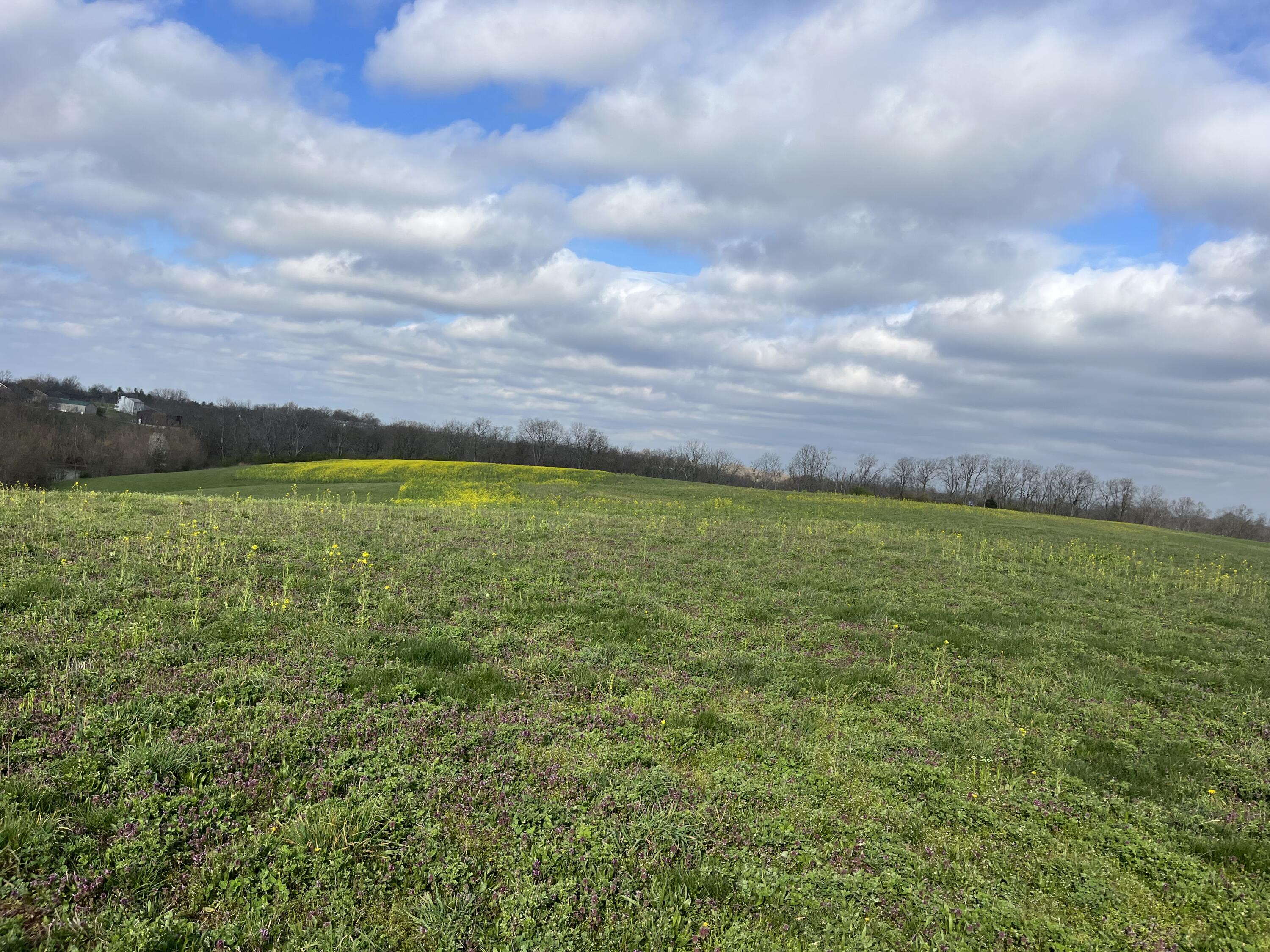 1305 Warsaw Road Dry Ridge, KY 41035 - Photo 5 of 6