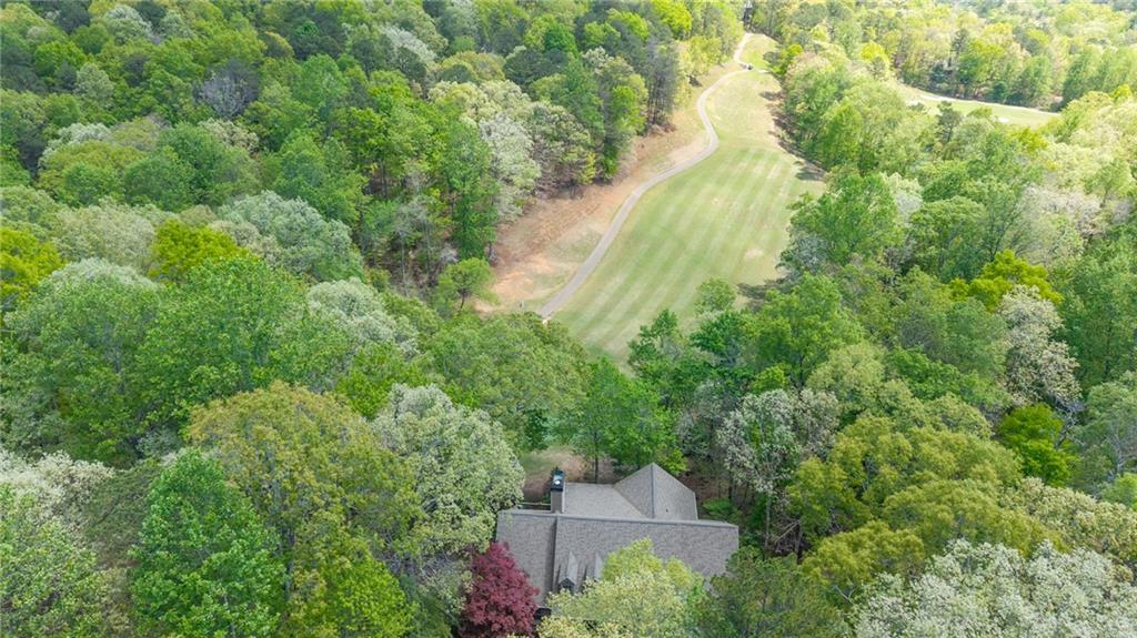 208 Muirfield Way Jasper, GA 30143 - Photo 58 of 59 an aerial view of residential houses with outdoor space and trees