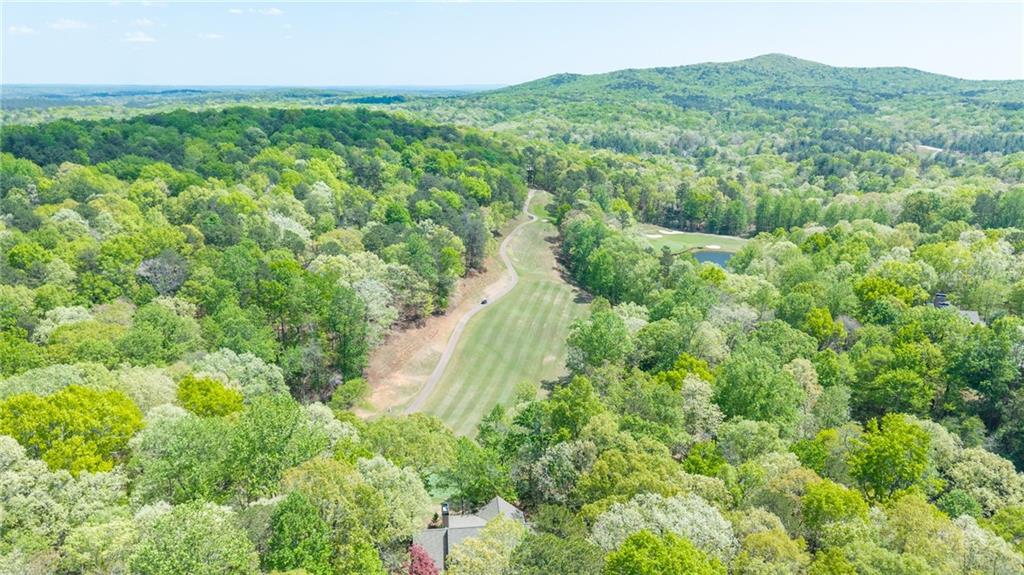 208 Muirfield Way Jasper, GA 30143 - Photo 59 of 59 an aerial view of residential houses with outdoor space and trees