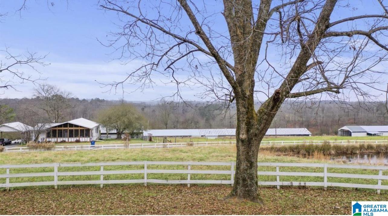 1236 A Reneau Road Oneonta, AL 35121 - Photo 2 of 12
