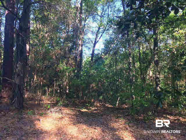 0 West Springhill Woods Drive West Mobile, AL 36608 - Photo 1 of 6