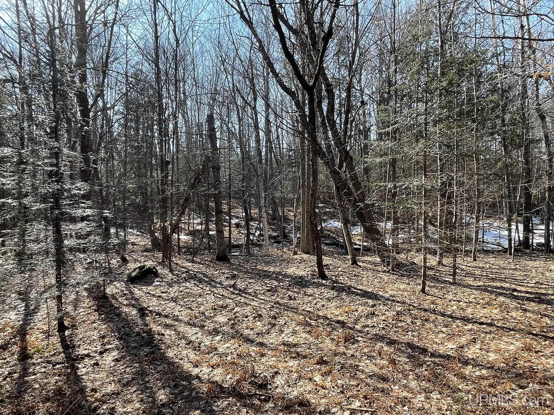2330 S Little Harbor Road Manistique, MI 49854 - Photo 21 of 55