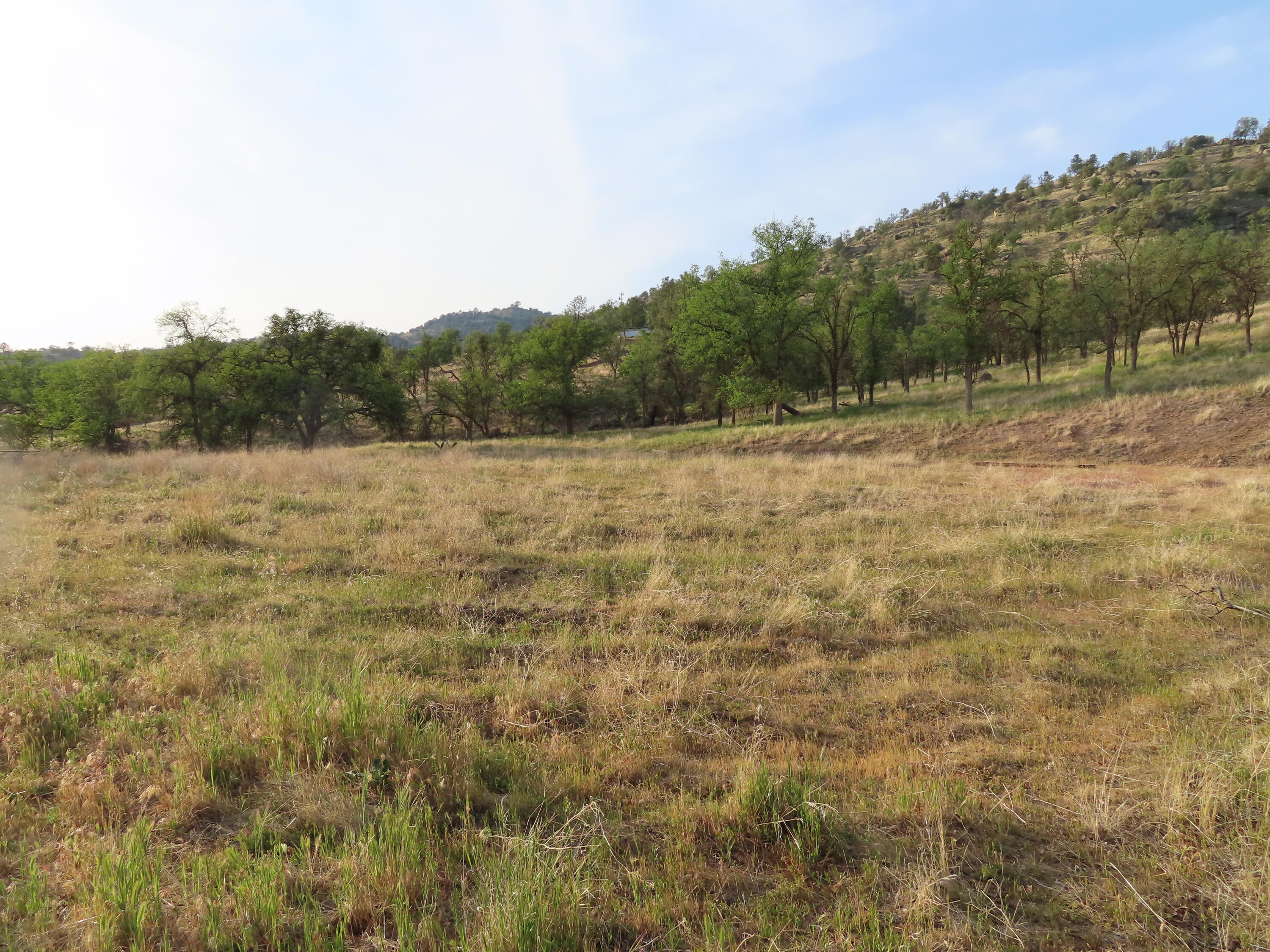Jack Springs Road Tehachapi, CA 93561 - Photo 11 of 29 IMG_0354