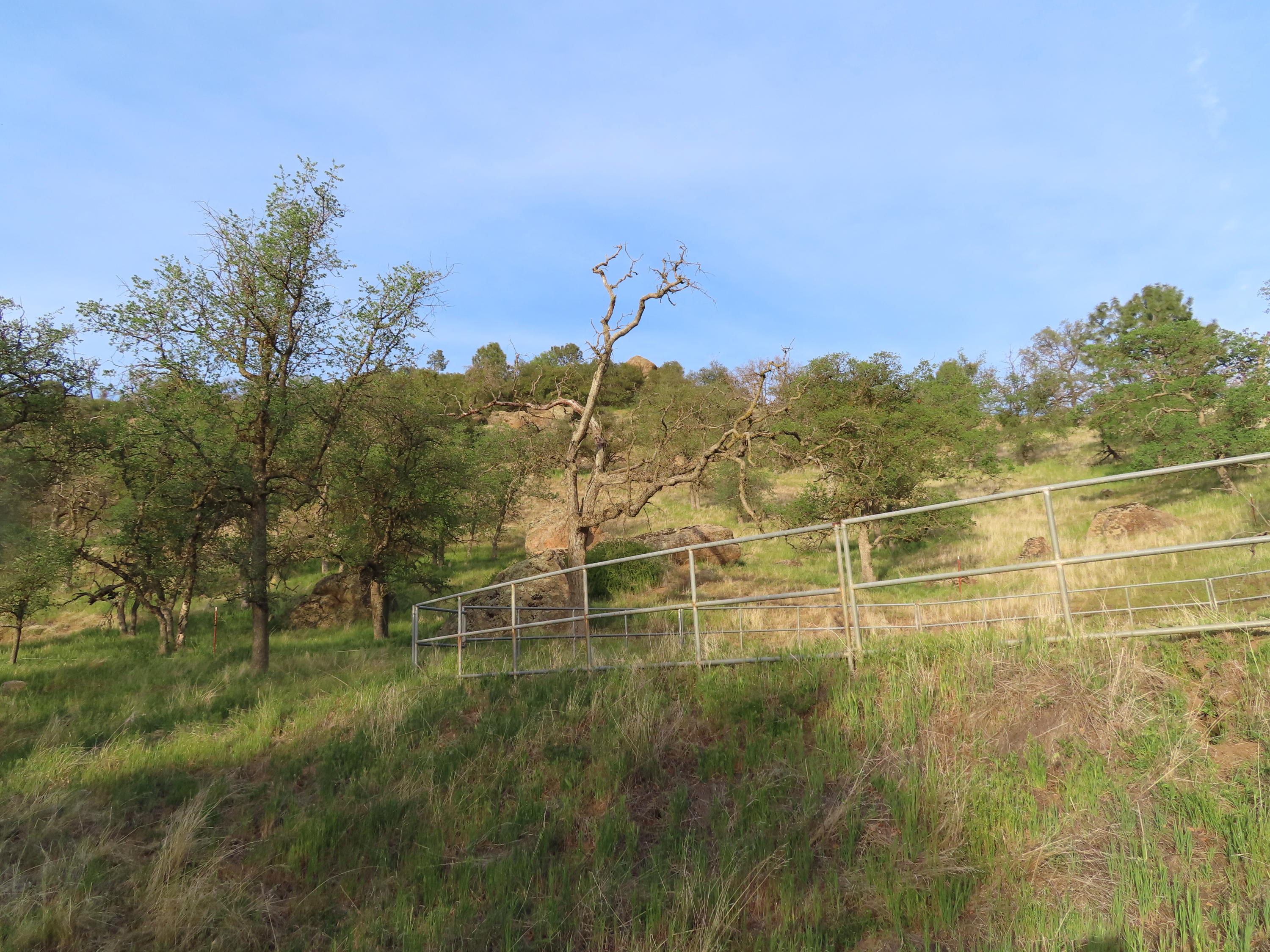 Jack Springs Road Tehachapi, CA 93561 - Photo 15 of 29 IMG_0350