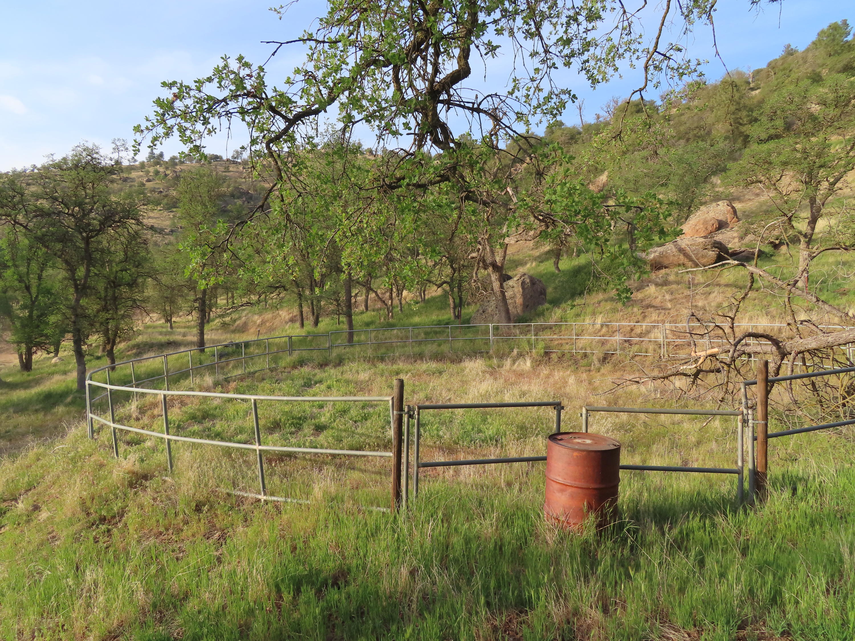 Jack Springs Road Tehachapi, CA 93561 - Photo 16 of 29 IMG_0347