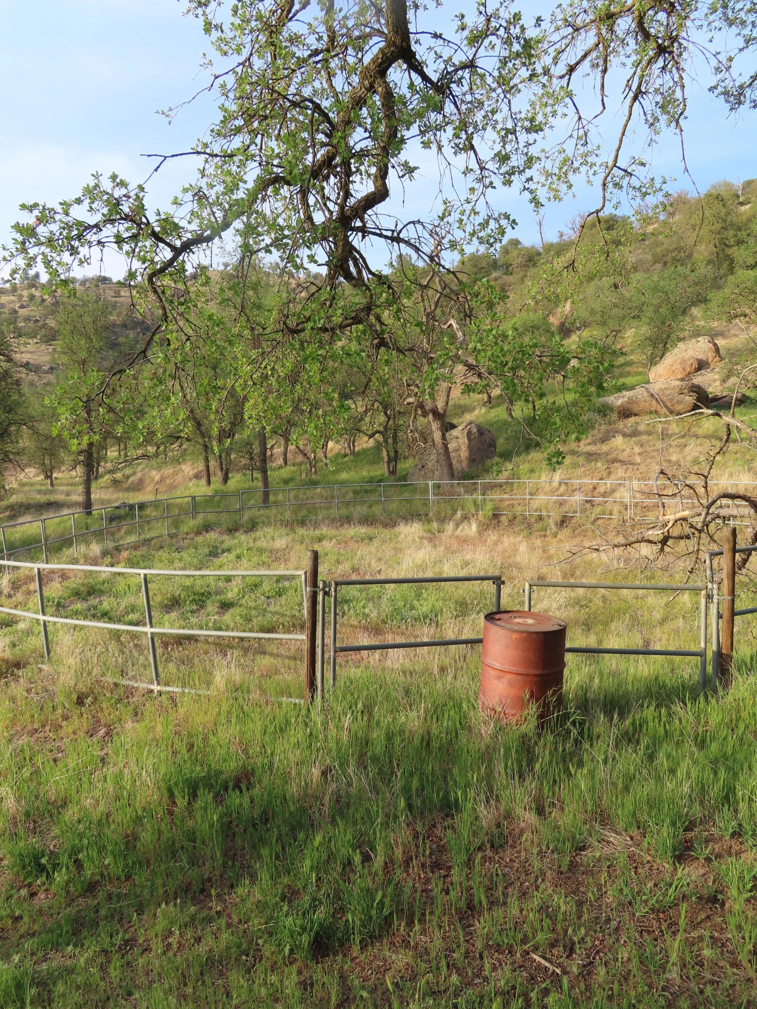 Jack Springs Road Tehachapi, CA 93561 - Photo 17 of 29 IMG_0346