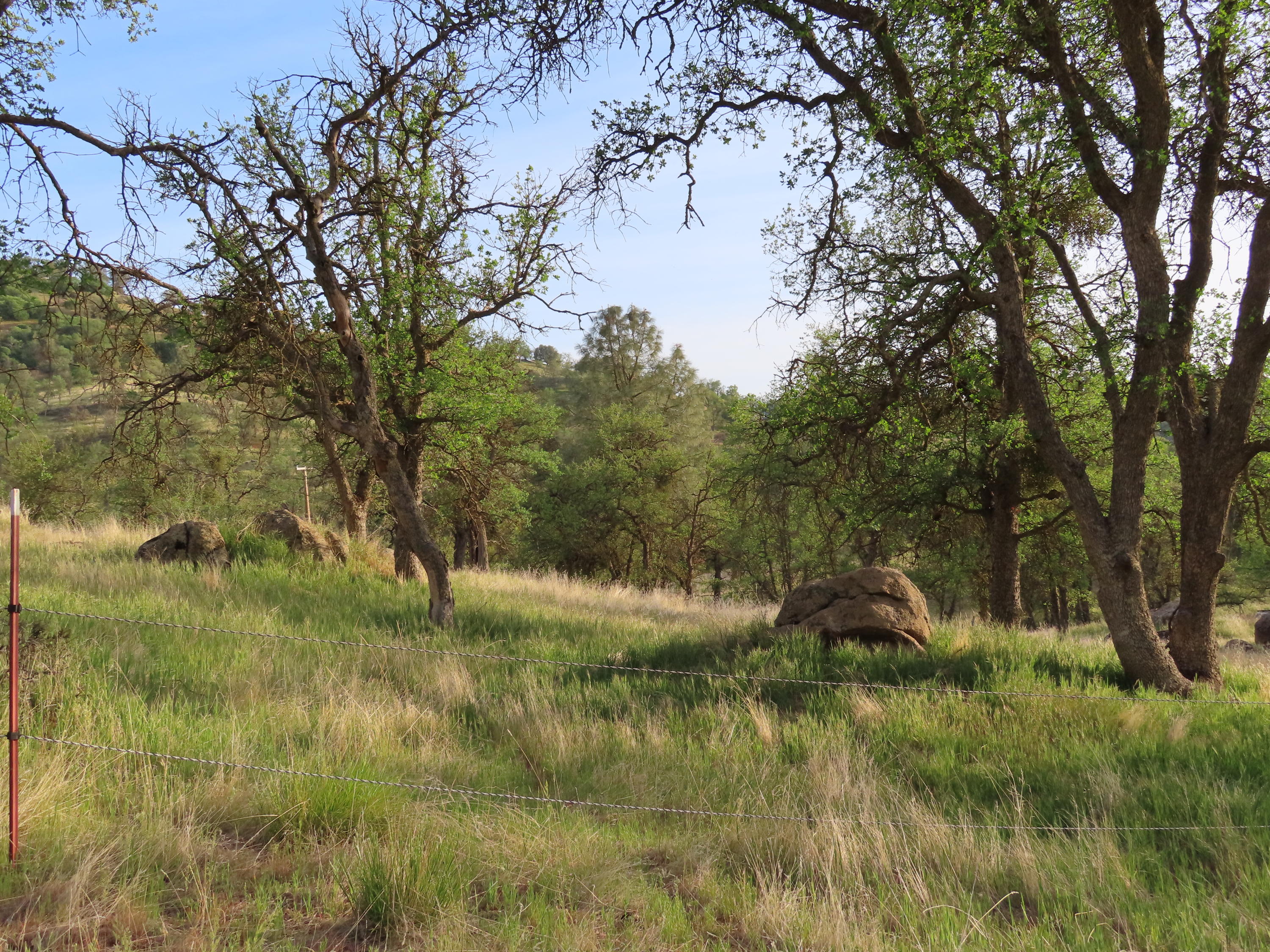 Jack Springs Road Tehachapi, CA 93561 - Photo 18 of 29 IMG_0345