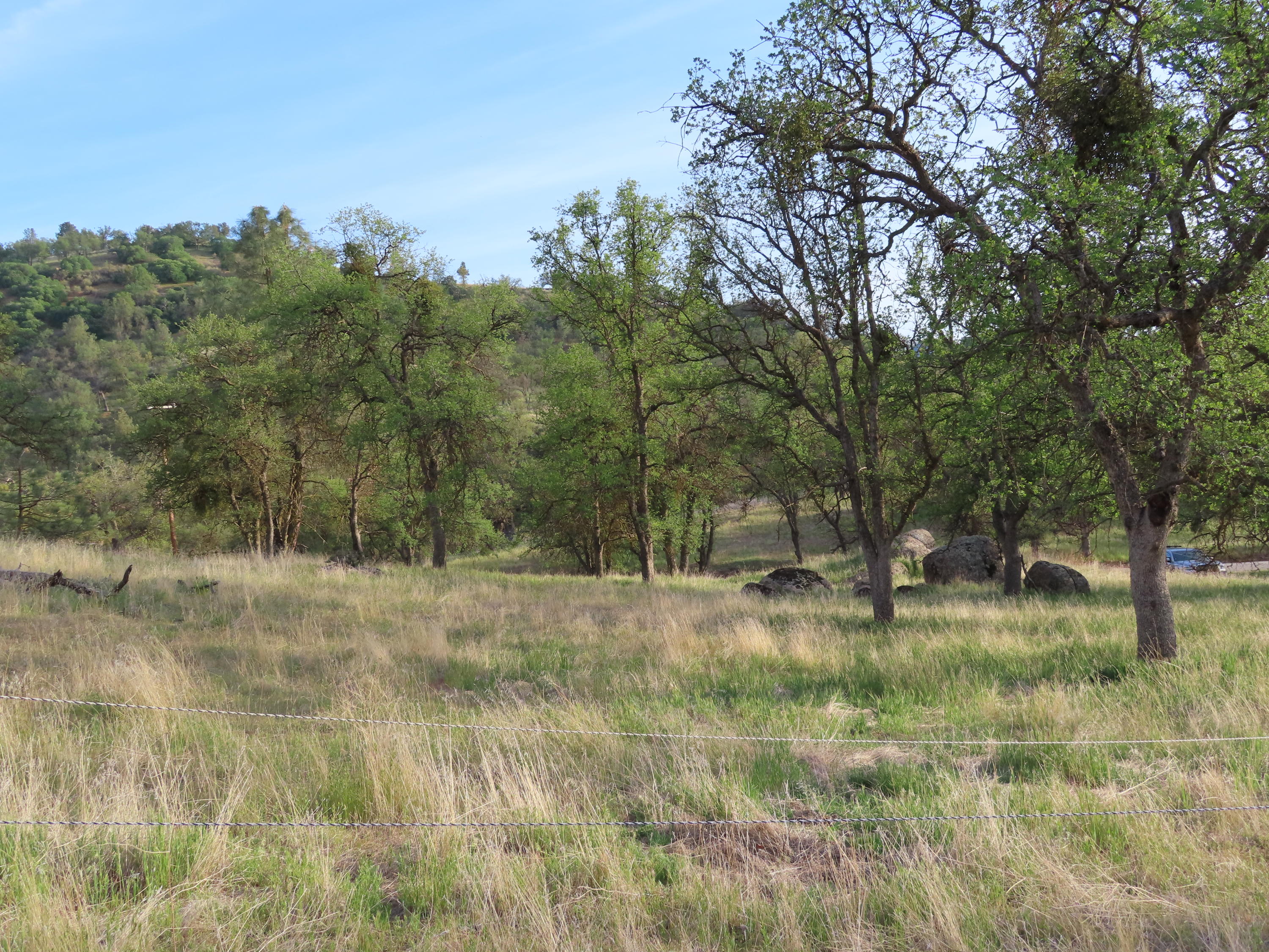 Jack Springs Road Tehachapi, CA 93561 - Photo 19 of 29 IMG_0344