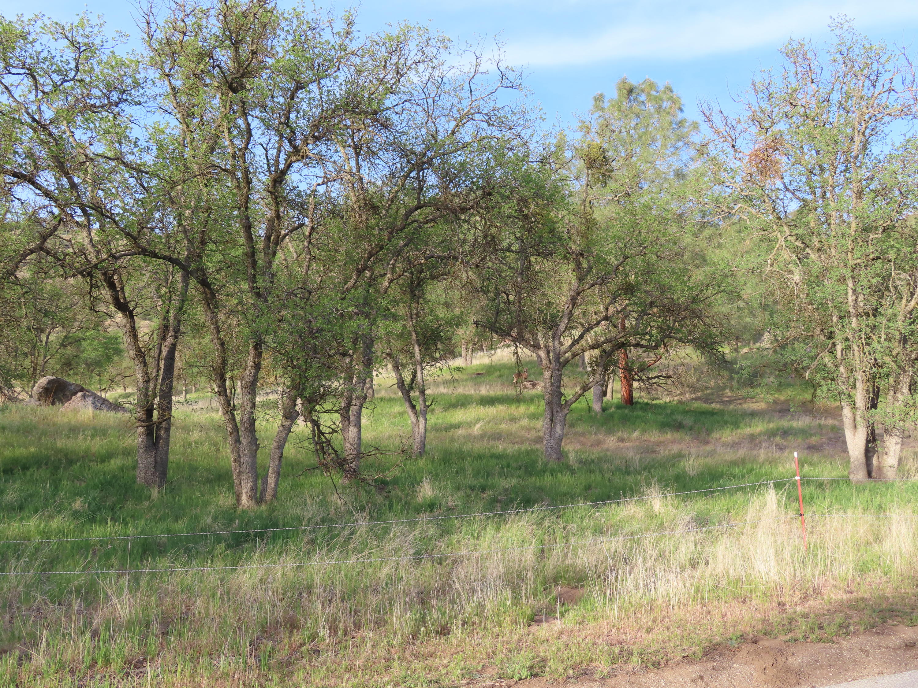 Jack Springs Road Tehachapi, CA 93561 - Photo 22 of 29 IMG_0340