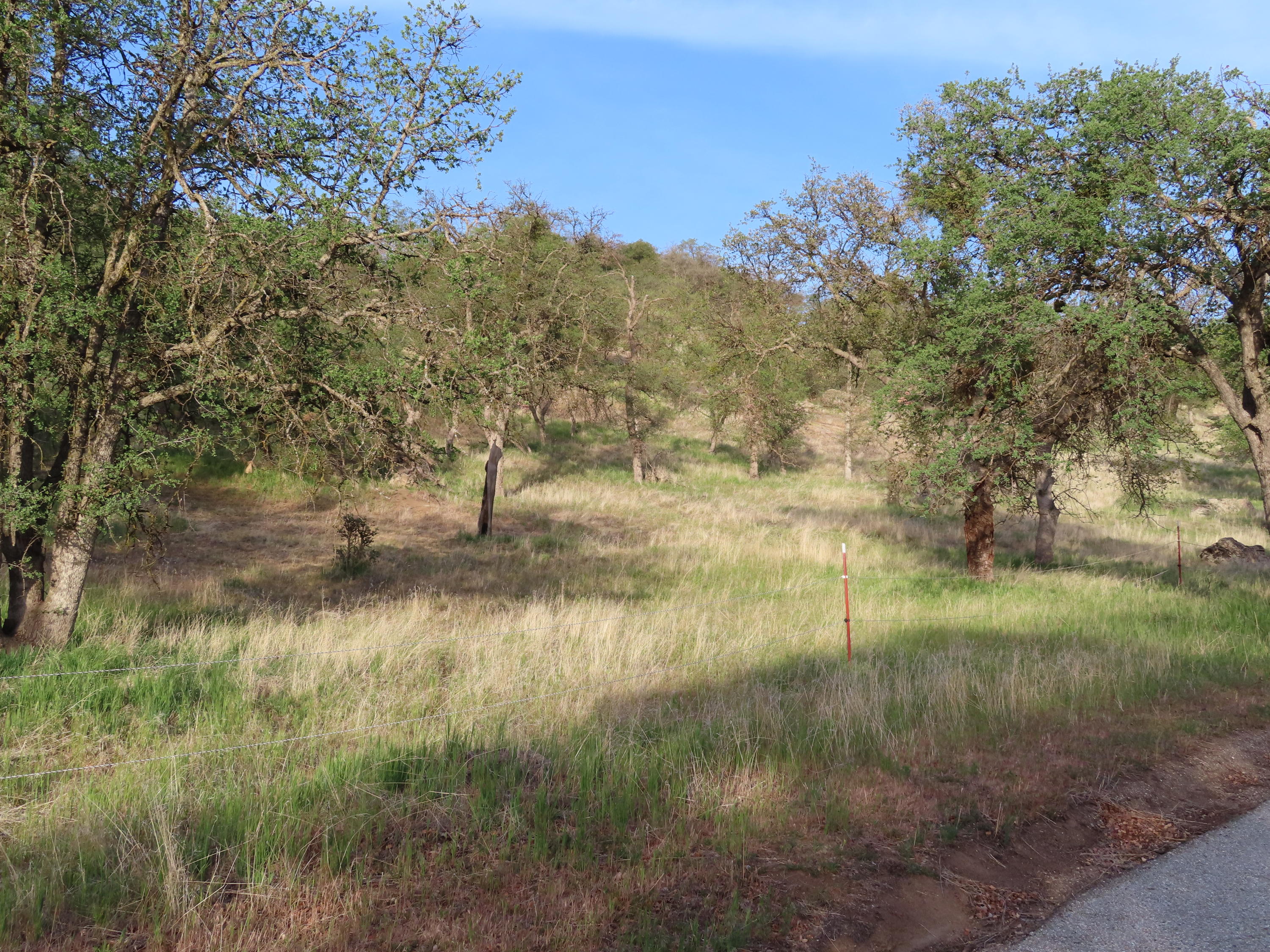 Jack Springs Road Tehachapi, CA 93561 - Photo 24 of 29 IMG_0341