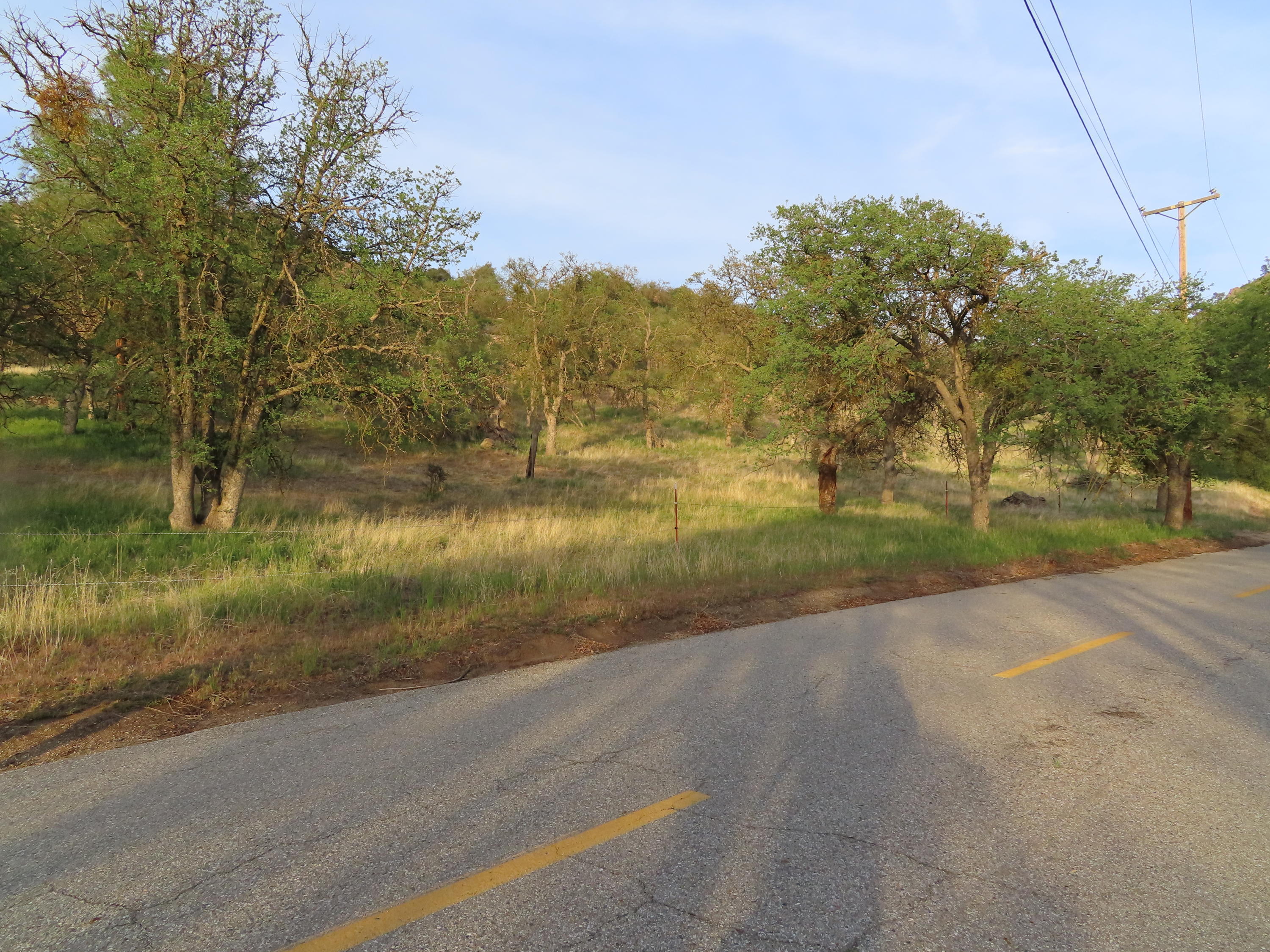 Jack Springs Road Tehachapi, CA 93561 - Photo 25 of 29 IMG_0382