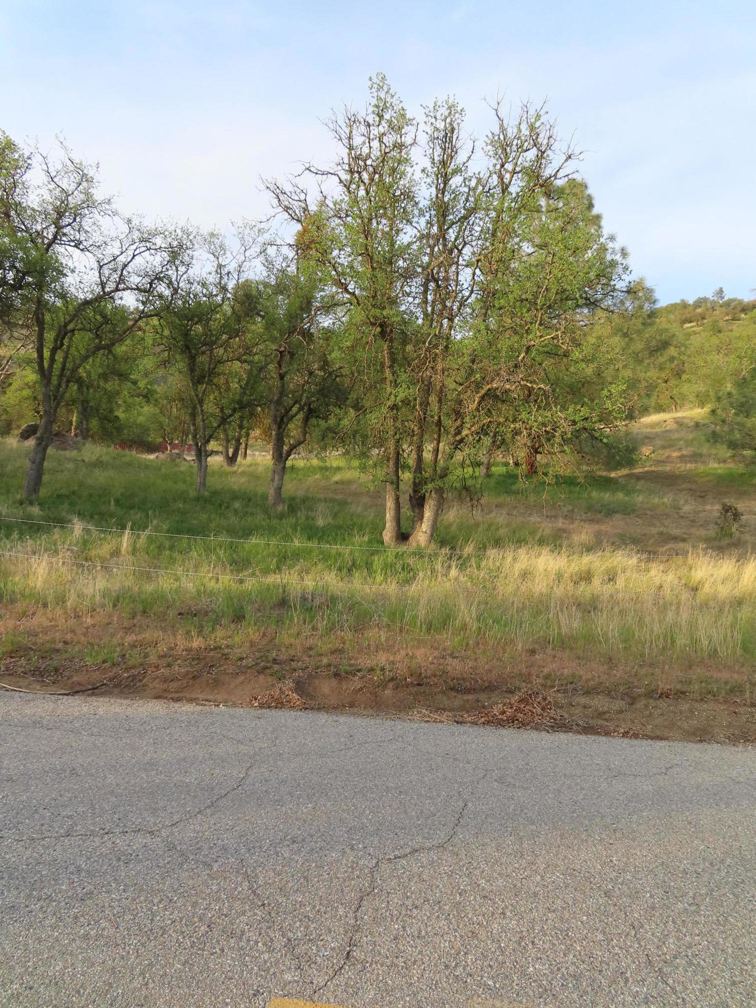 Jack Springs Road Tehachapi, CA 93561 - Photo 27 of 29 IMG_0384