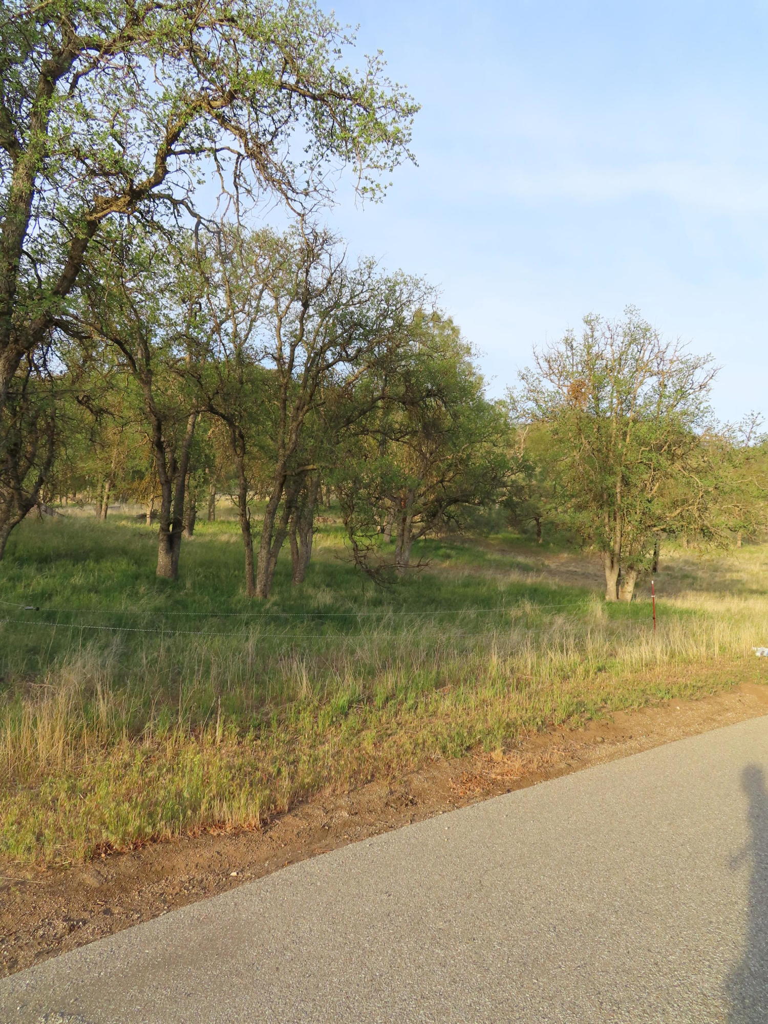 Jack Springs Road Tehachapi, CA 93561 - Photo 28 of 29 IMG_0381