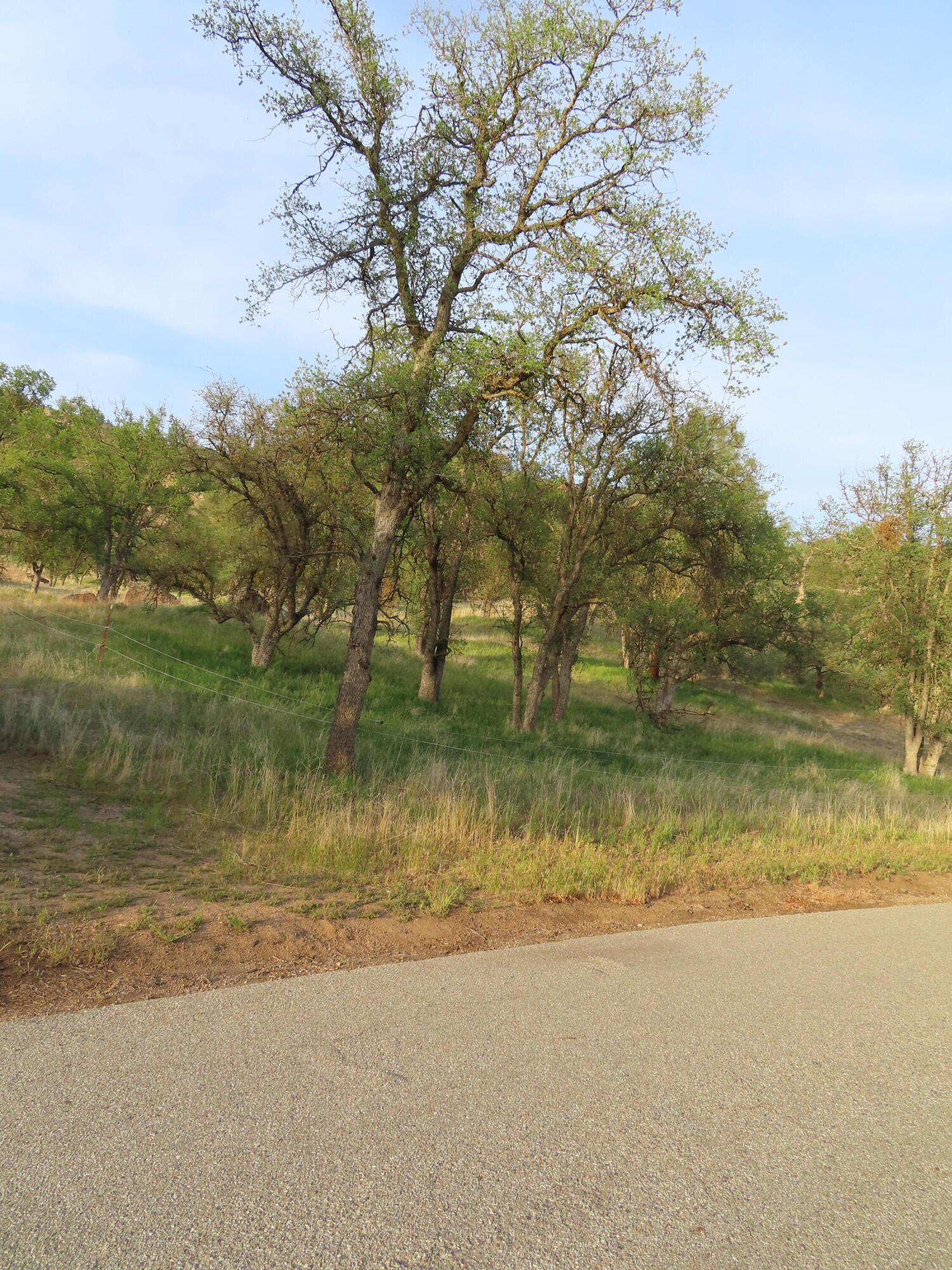 Jack Springs Road Tehachapi, CA 93561 - Photo 29 of 29 IMG_0380